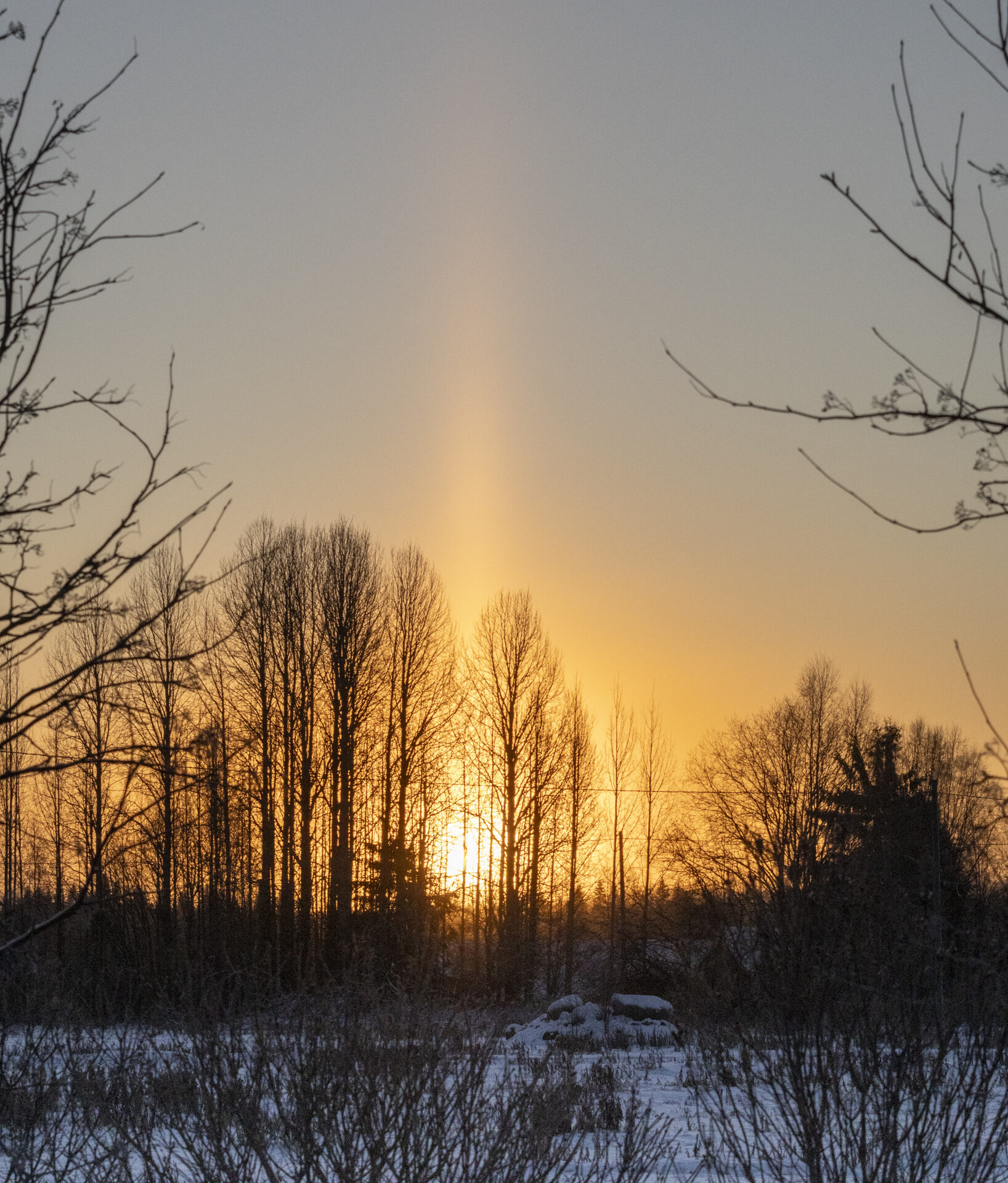 Valokuvaaja: Hannu Tikkanen