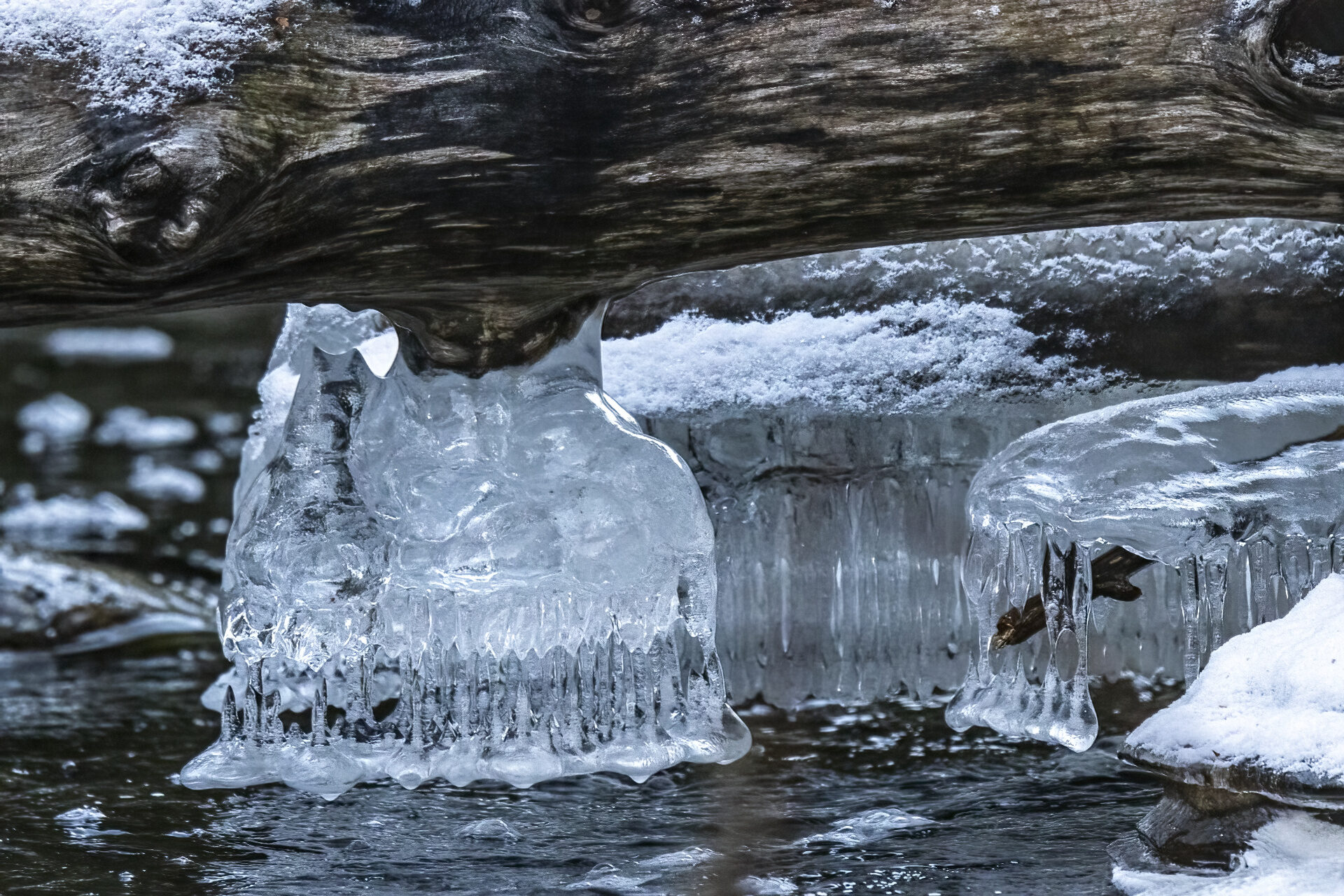 Valokuvaaja: Hannu Tikkanen