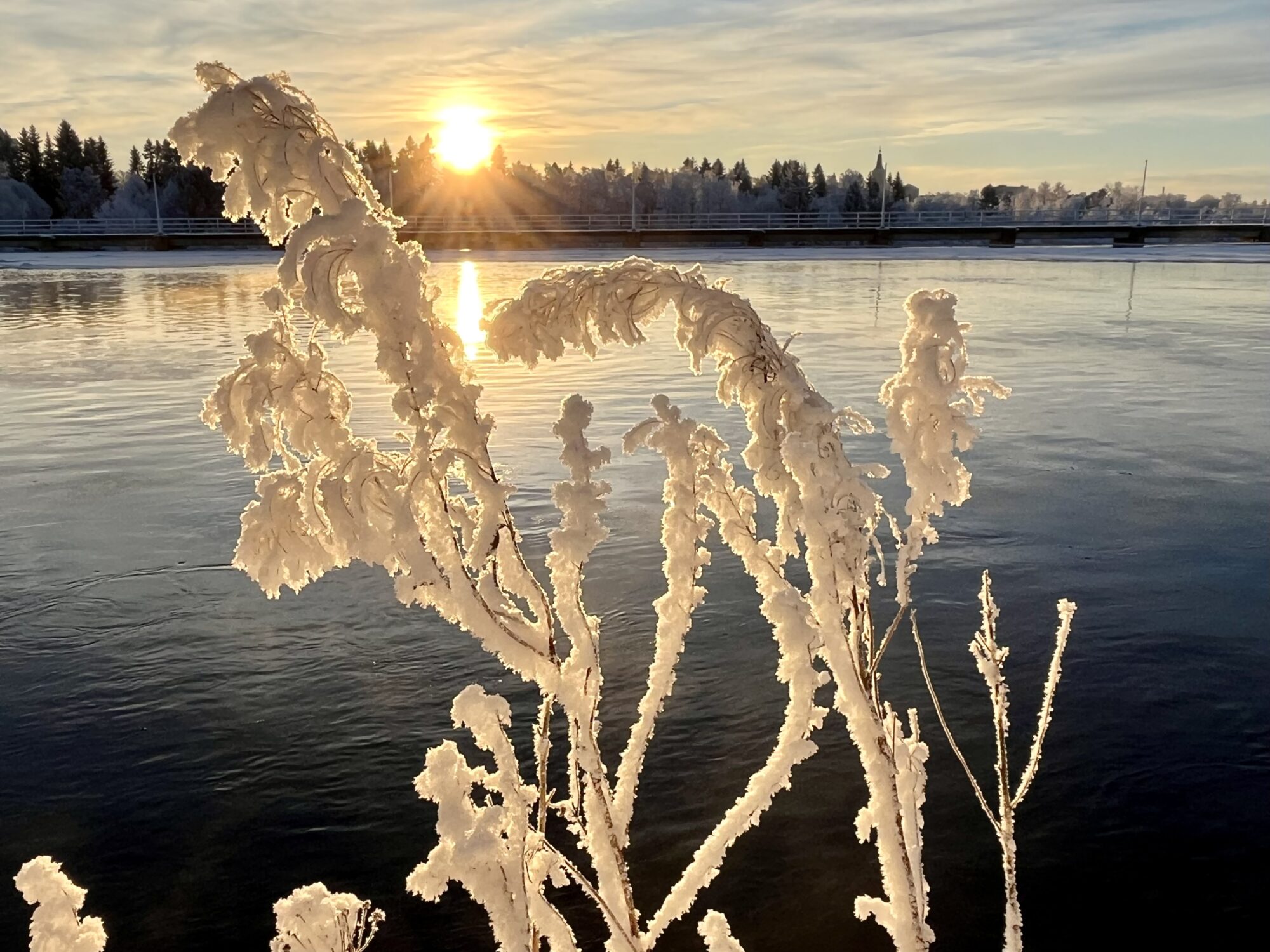 Valokuvaaja: Tuukka Pahtamaa