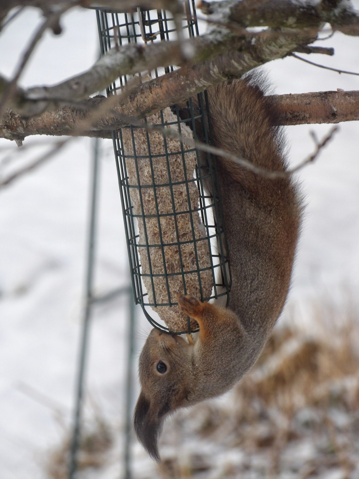 Valokuvaaja: Salla Kumpulainen Valokuvaaja: Salla Kumpulainen