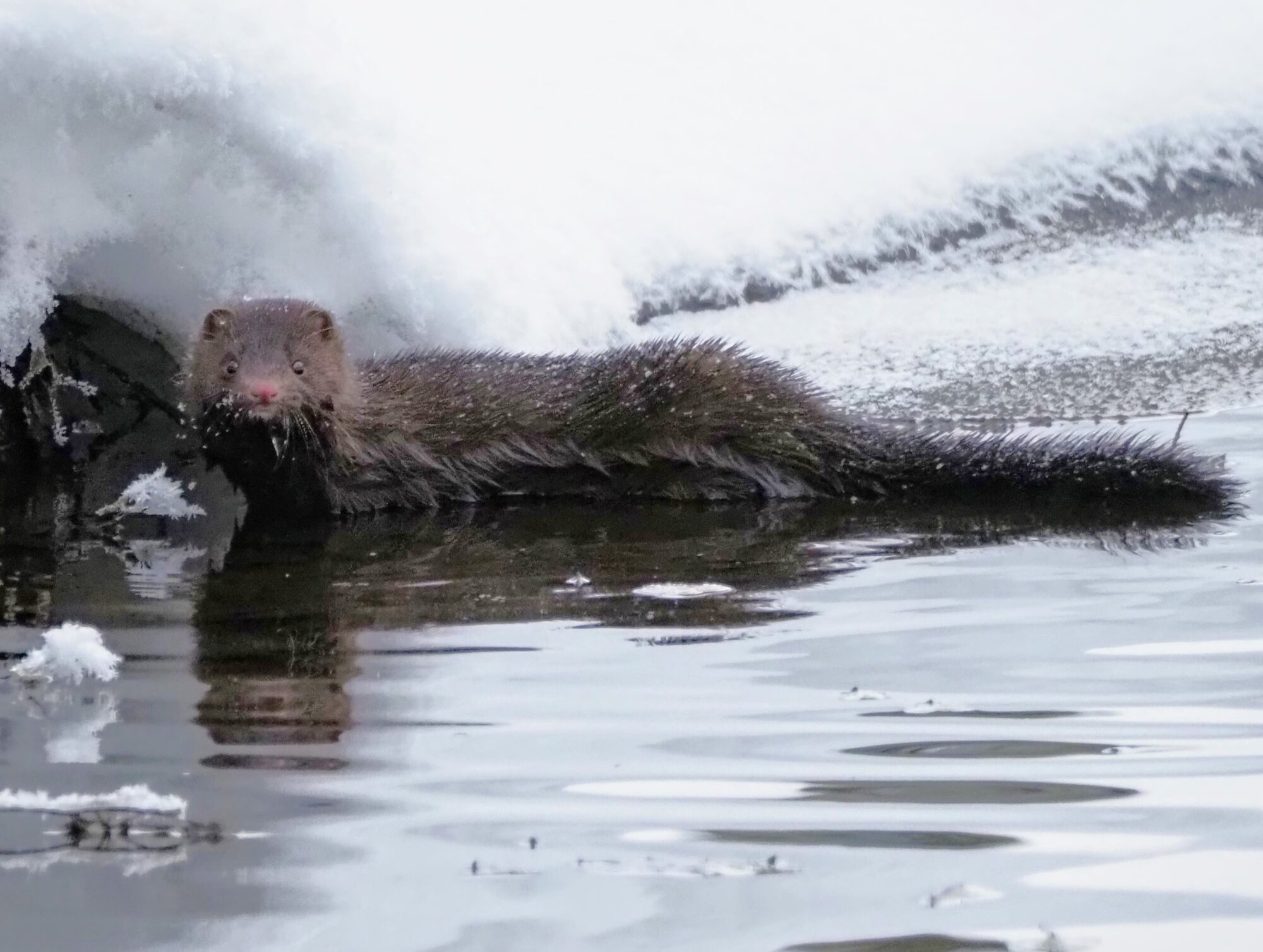 Valokuvaaja: Annikki Kärkkäinen