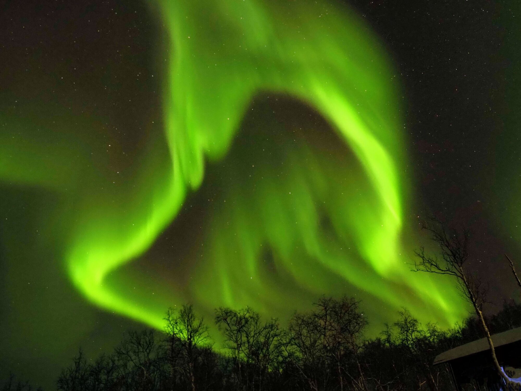 Valokuvaaja: Annikki Kärkkäinen