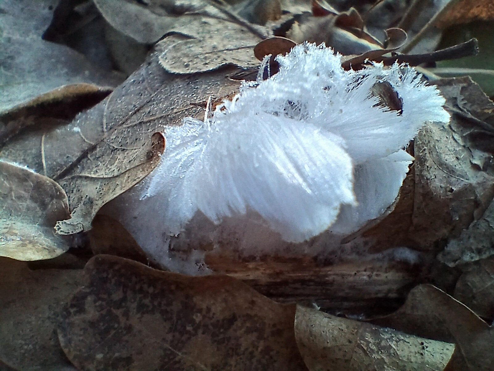 Valokuvaaja: Anne Lång Valokuvaaja: Anne Lång