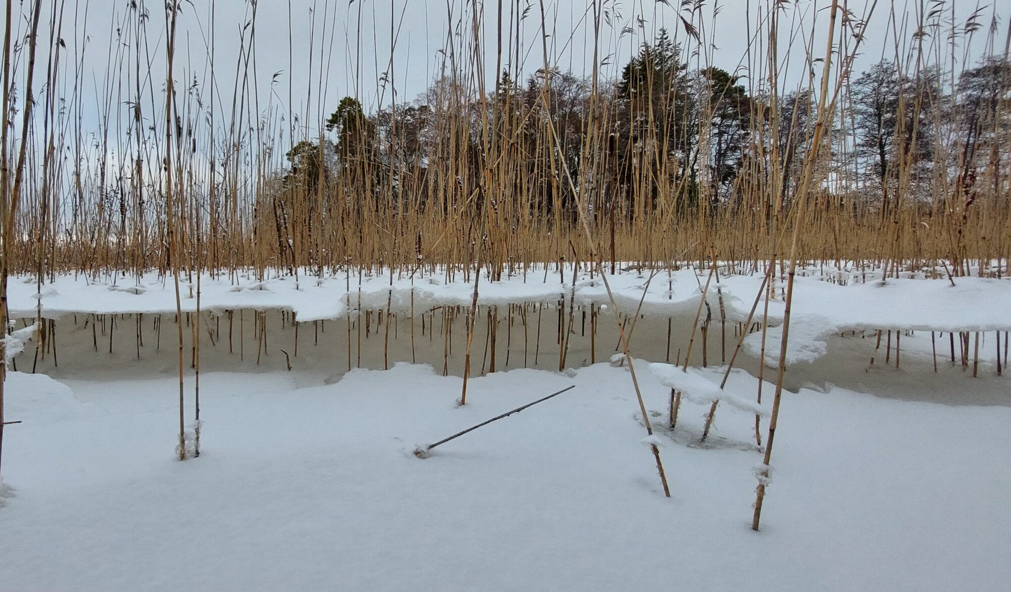 Valokuvaaja: Mervi And