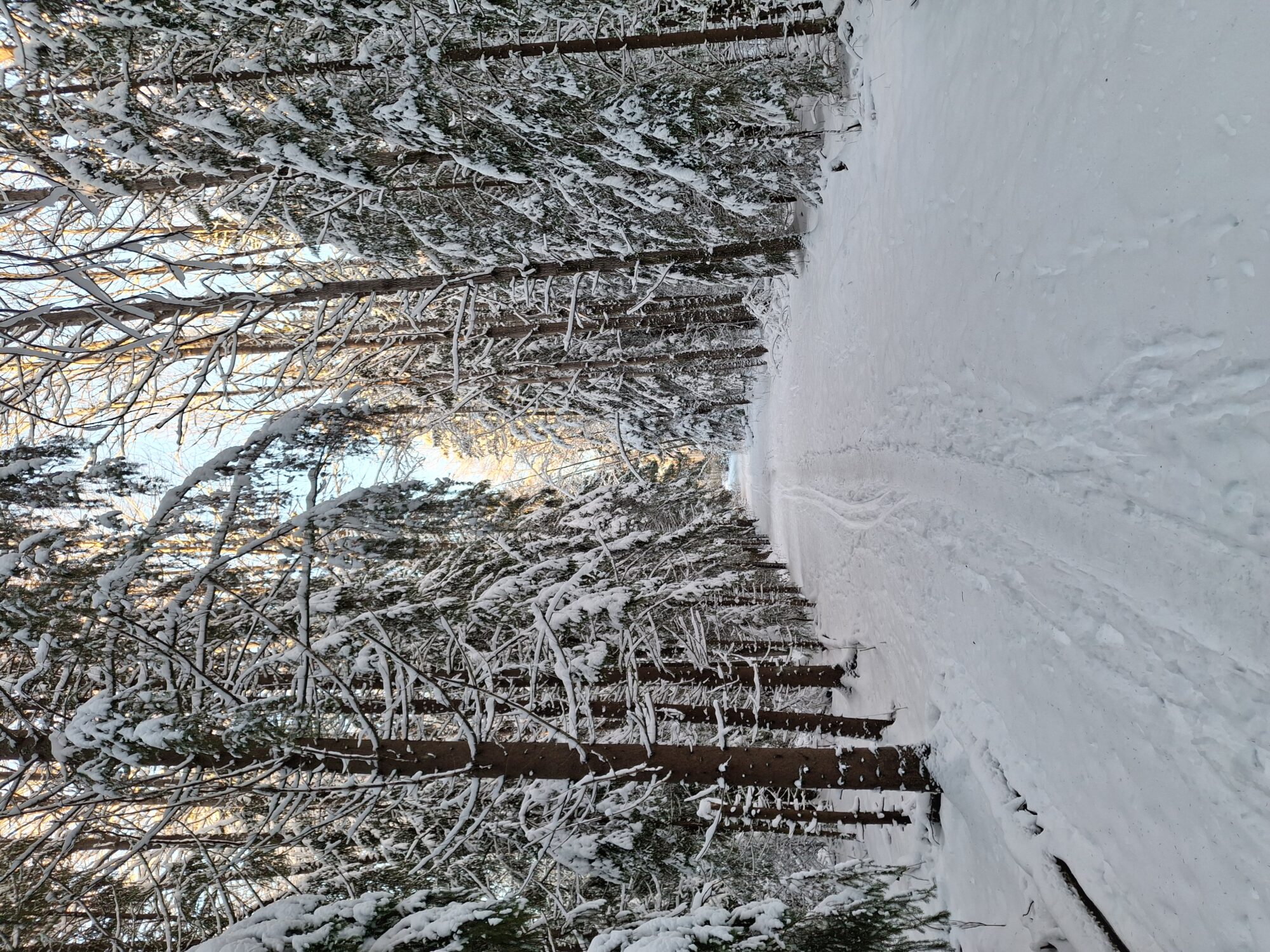 Valokuvaaja: Satu Suuntala