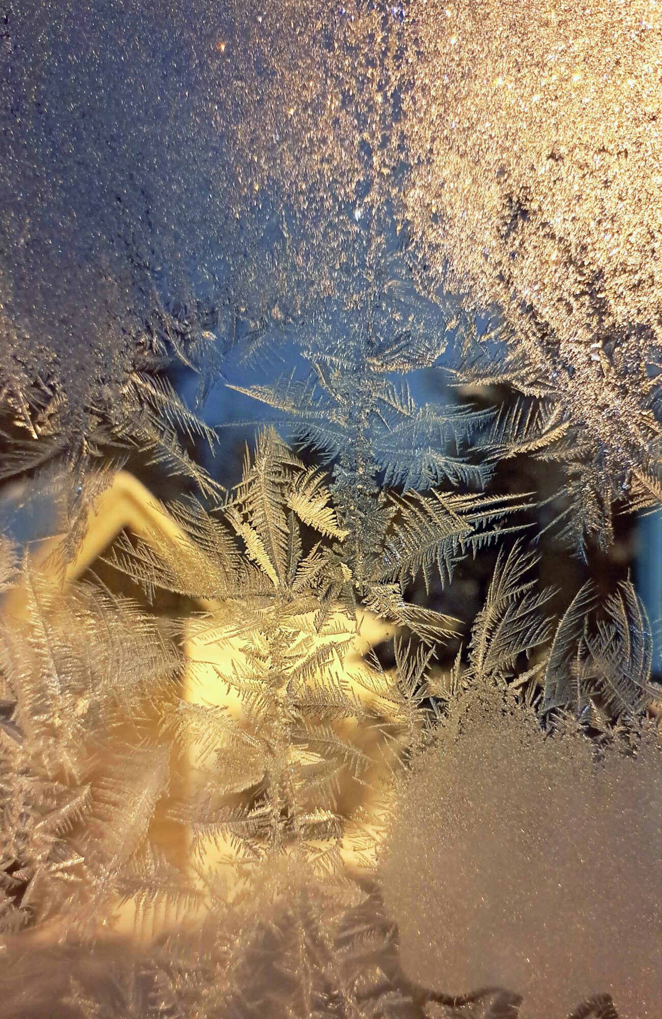 Valokuvaaja: Irja Lehtinen