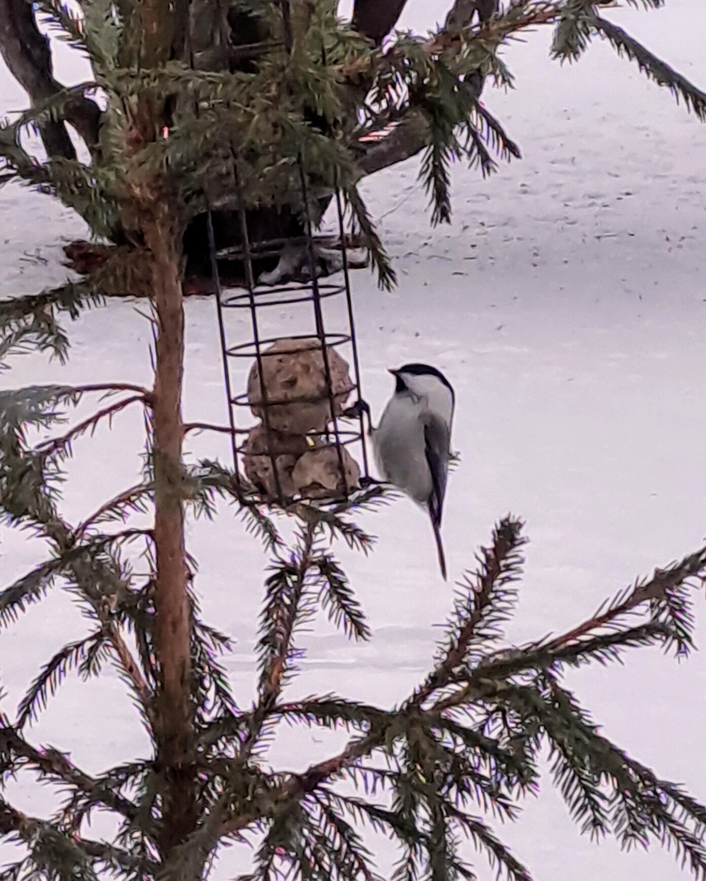 Valokuvaaja: Heikki Huotari