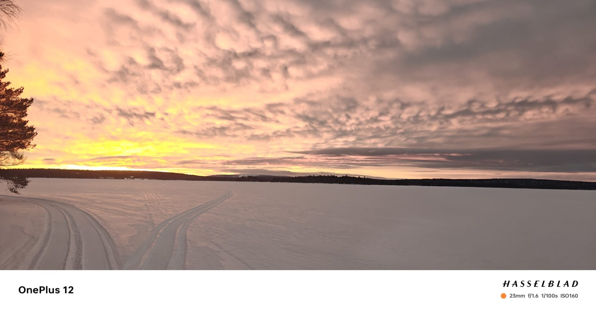Valokuvaaja: Maija Sieppi Valokuvaaja: Maija Sieppi