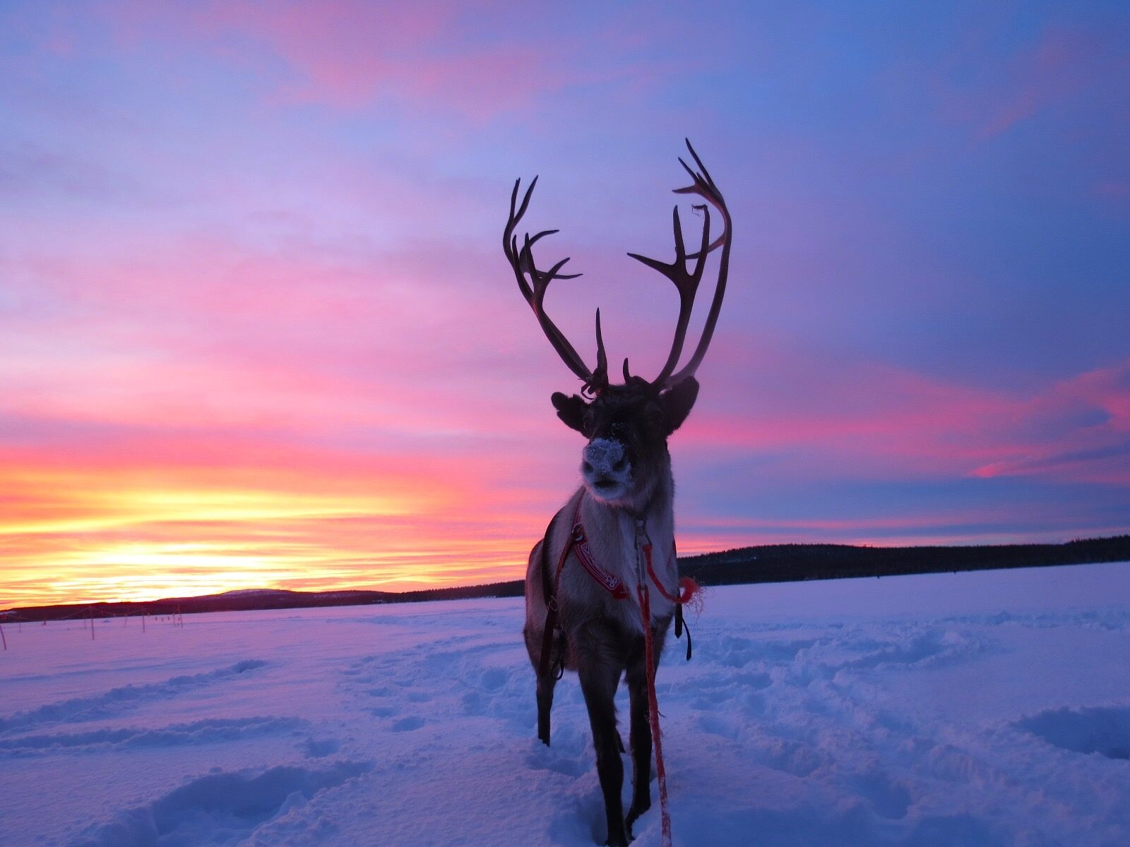 Valokuvaaja: Maija Sieppi