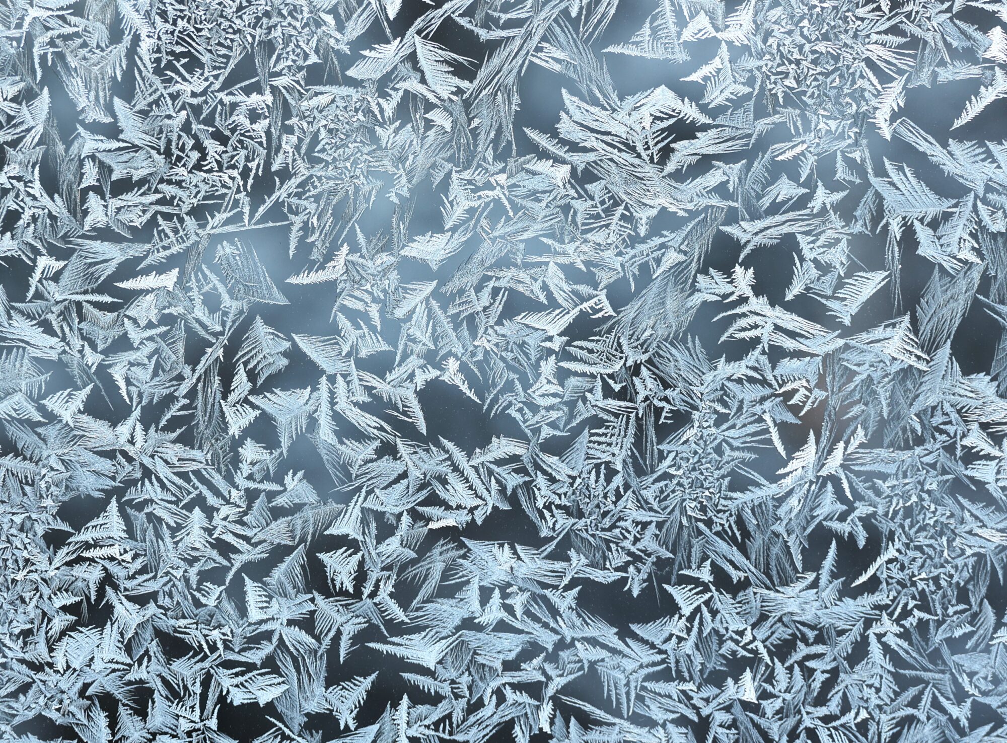 Valokuvaaja: Kaarina Heiskanen