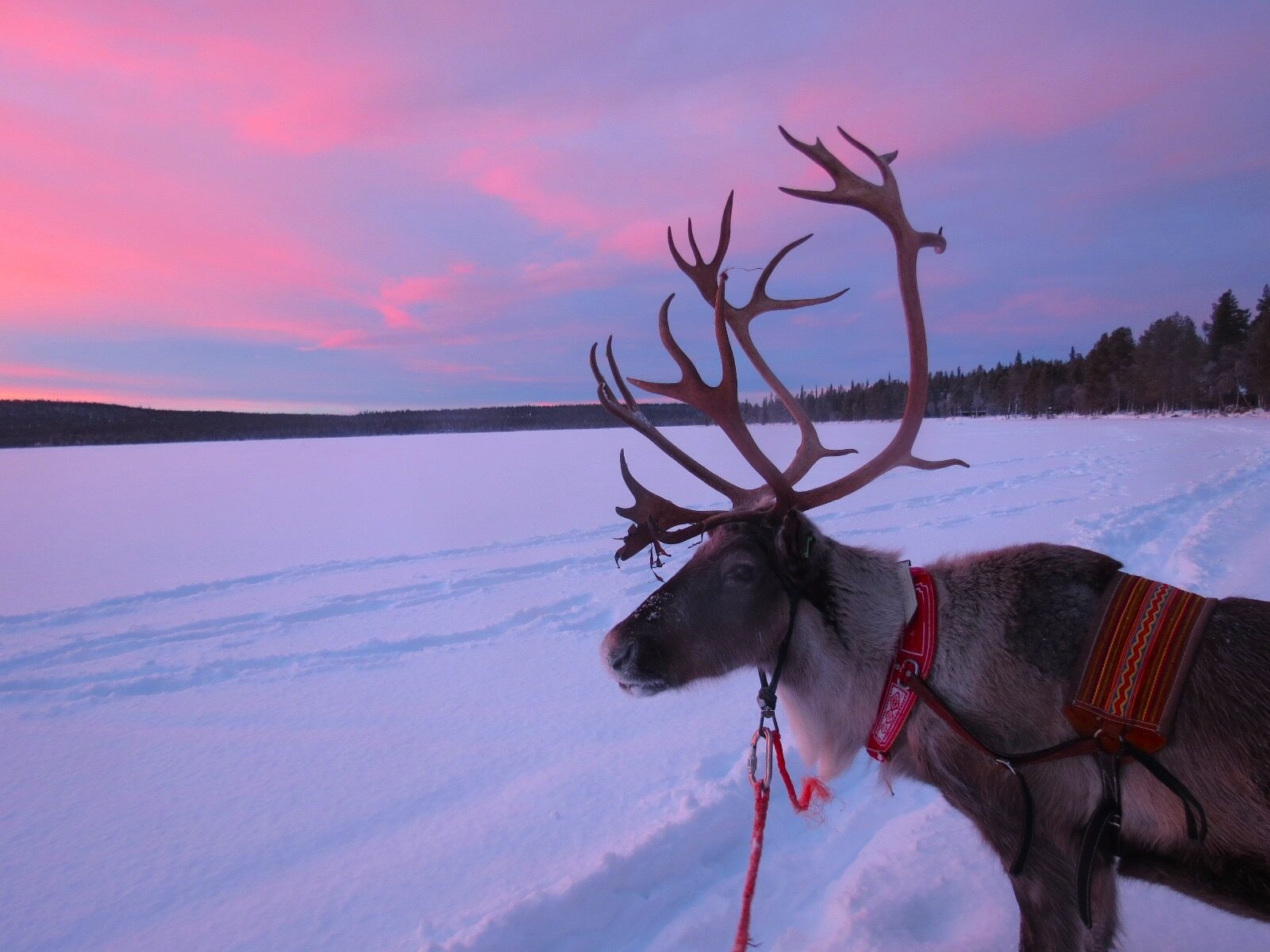 Valokuvaaja: Maija Sieppi