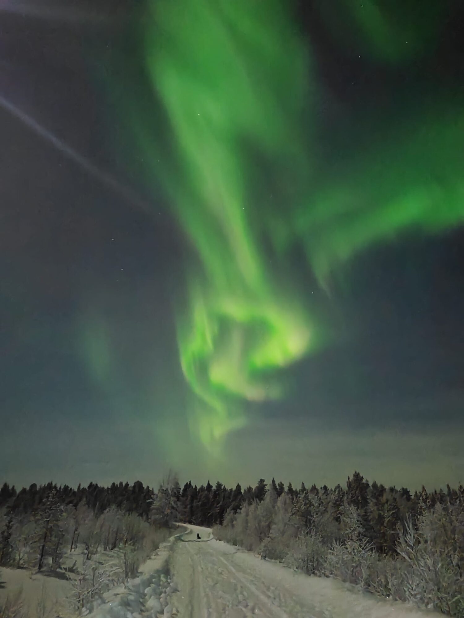 Valokuvaaja: Maija Sieppi