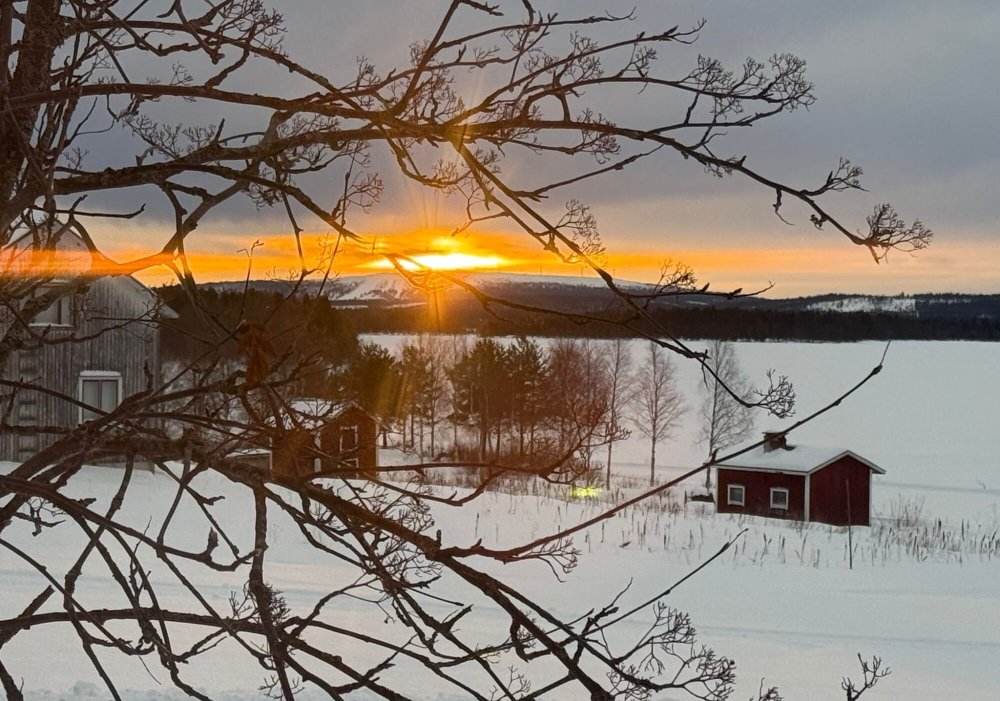 Valokuvaaja: Maija Sieppi