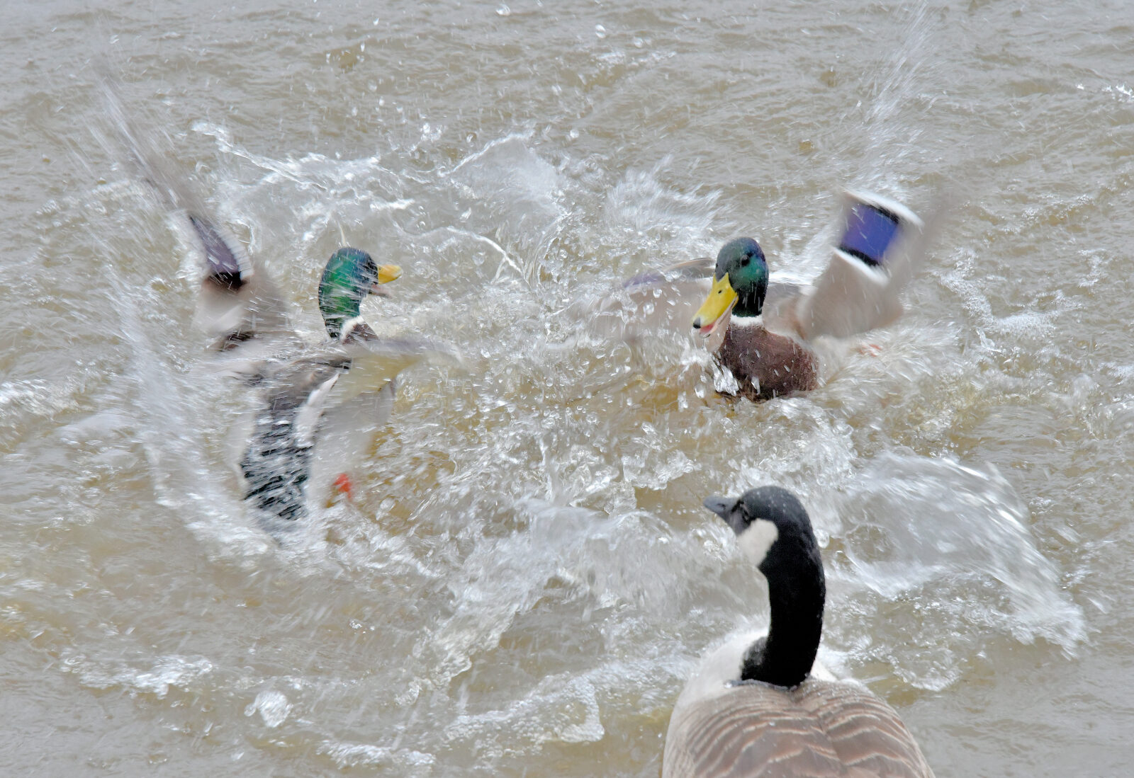 Valokuvaaja: Reijo Juurinen