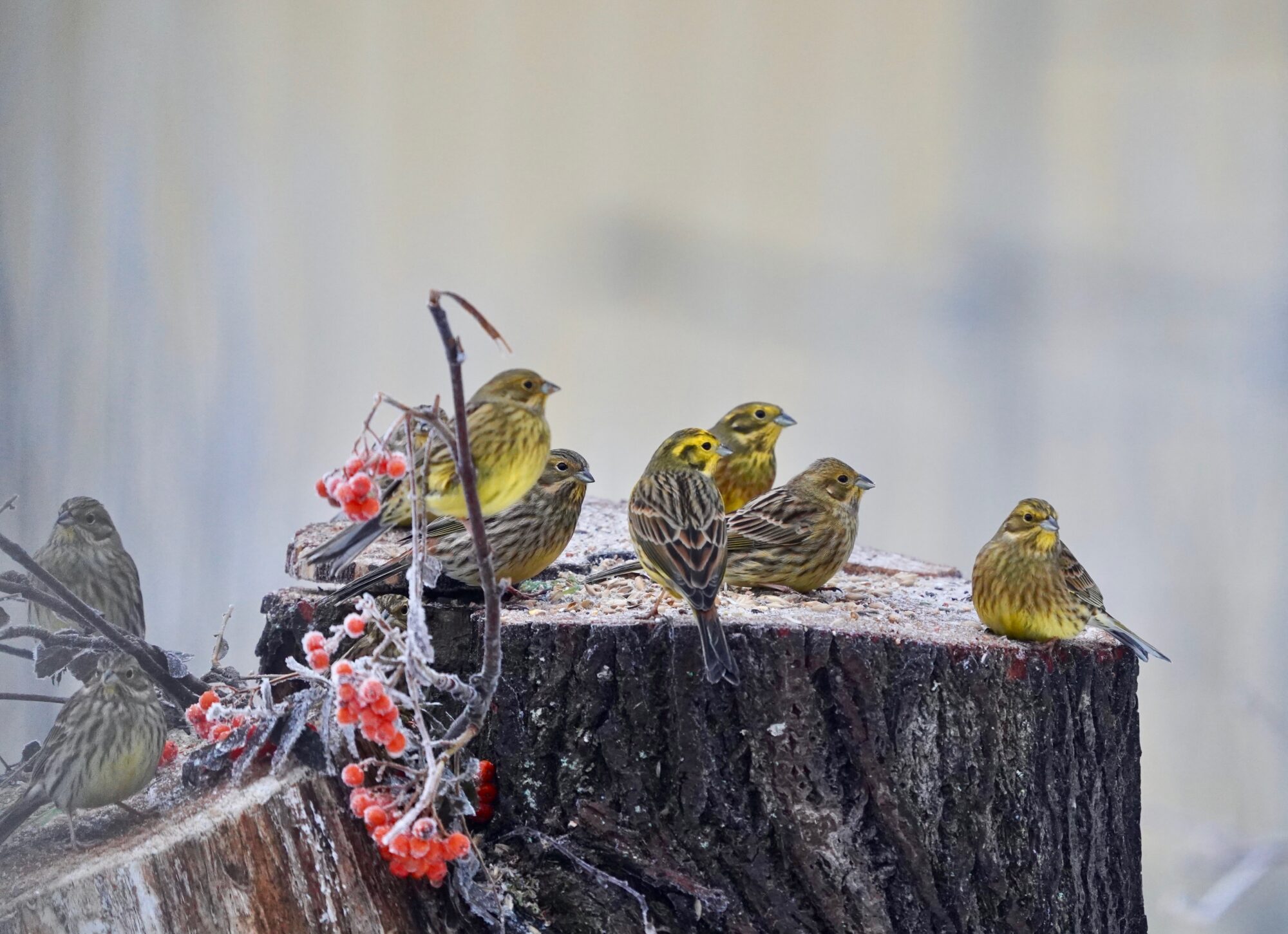 Valokuvaaja: Markku Ranta-Eilola