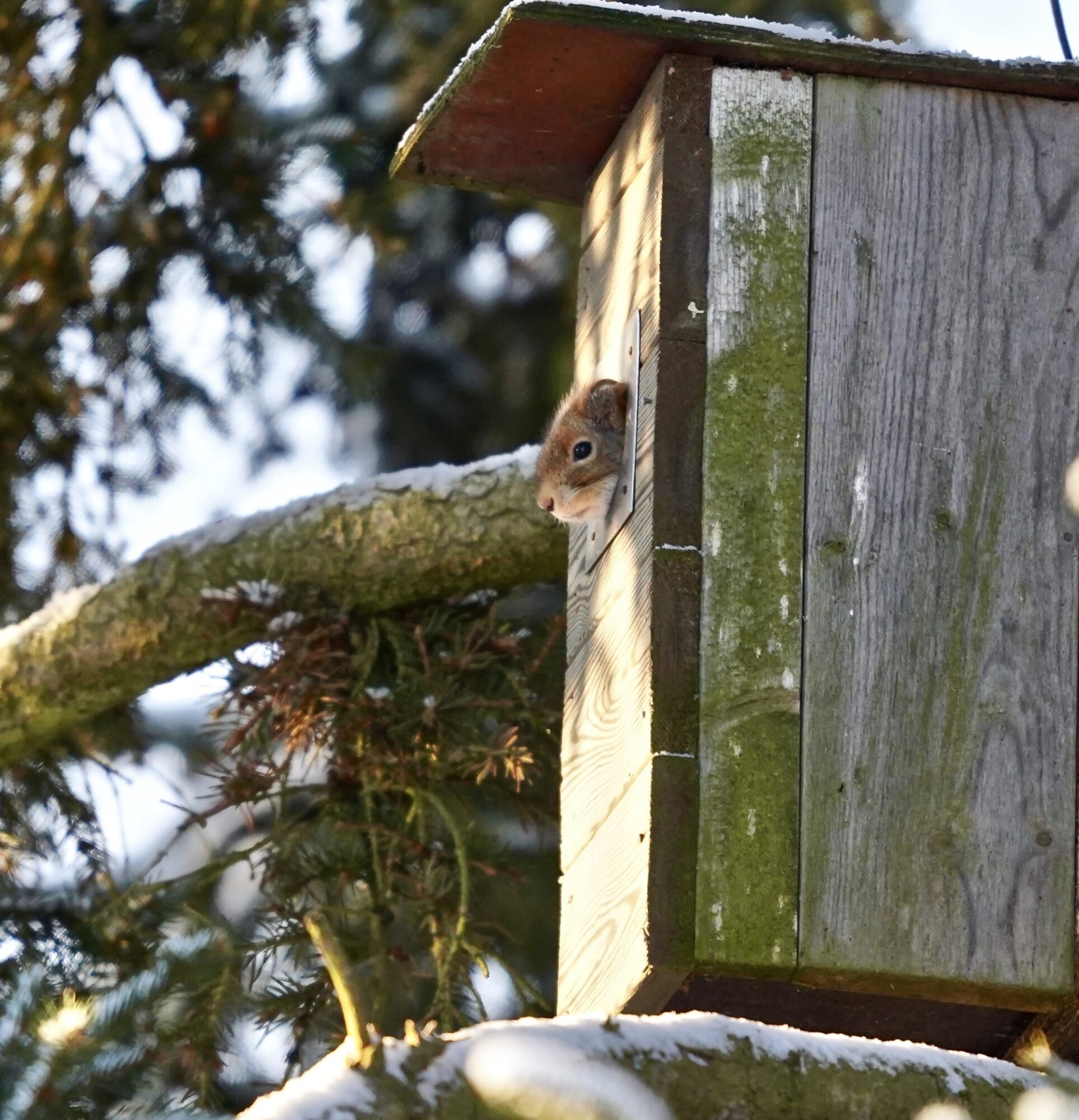 Valokuvaaja: Markku Ranta-Eilola