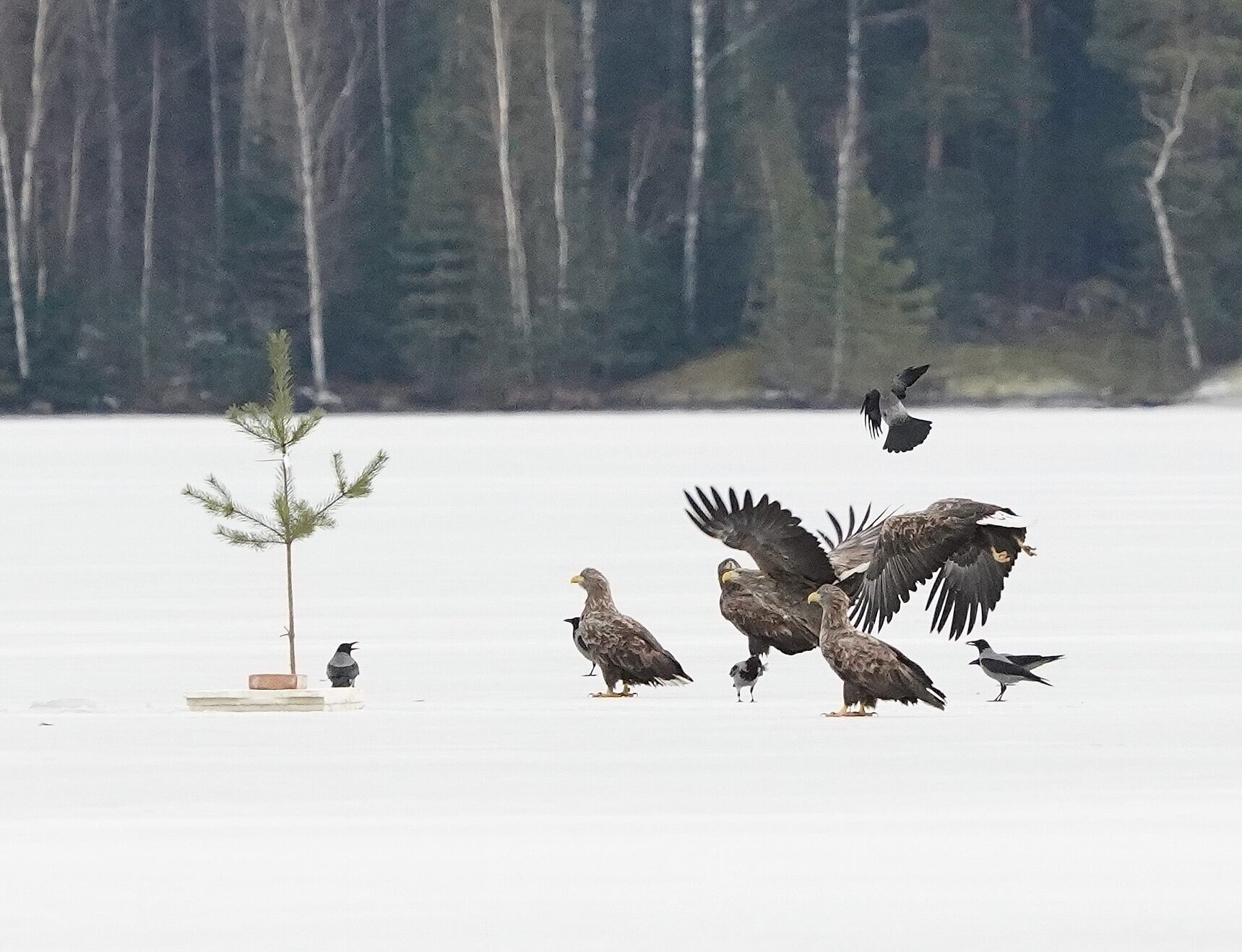 Valokuvaaja: Markku Ranta-Eilola