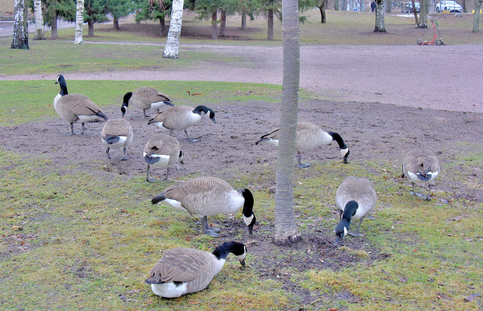 Valokuvaaja: Reijo Juurinen