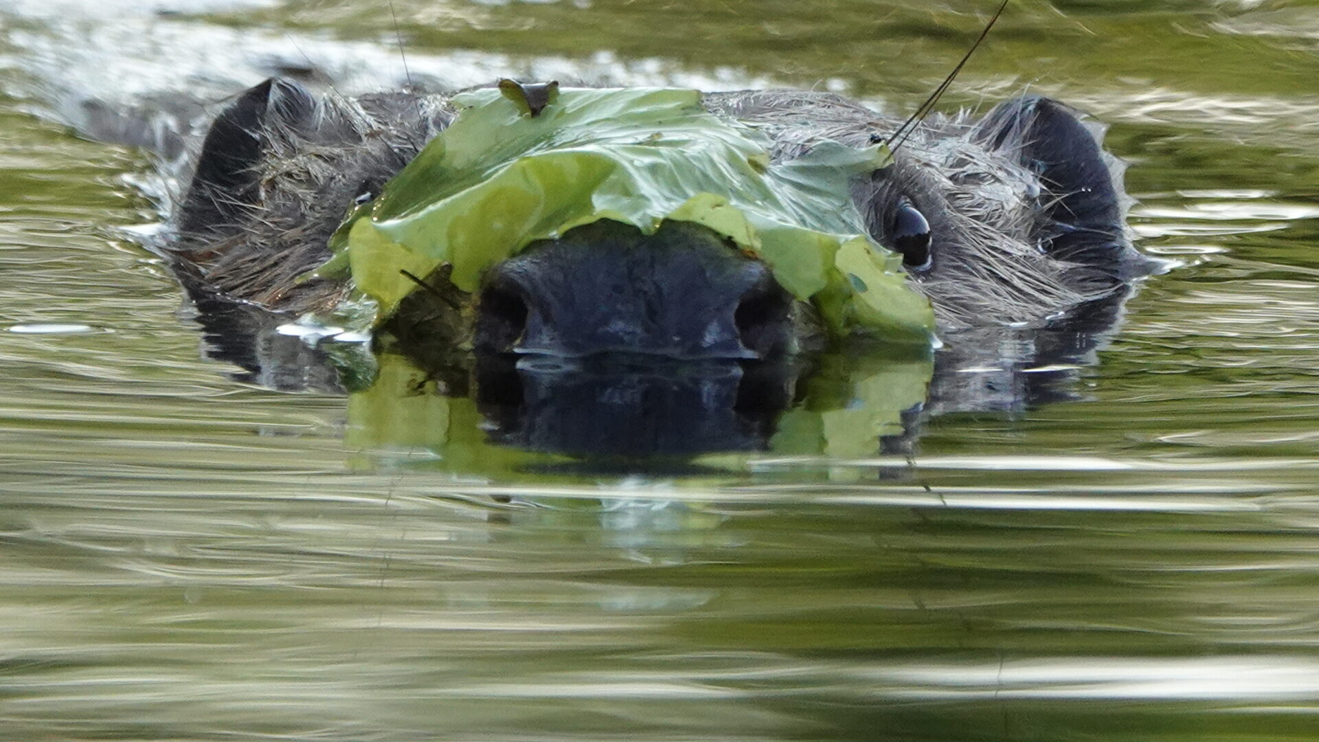 Valokuvaaja: Vesa Syrjälä