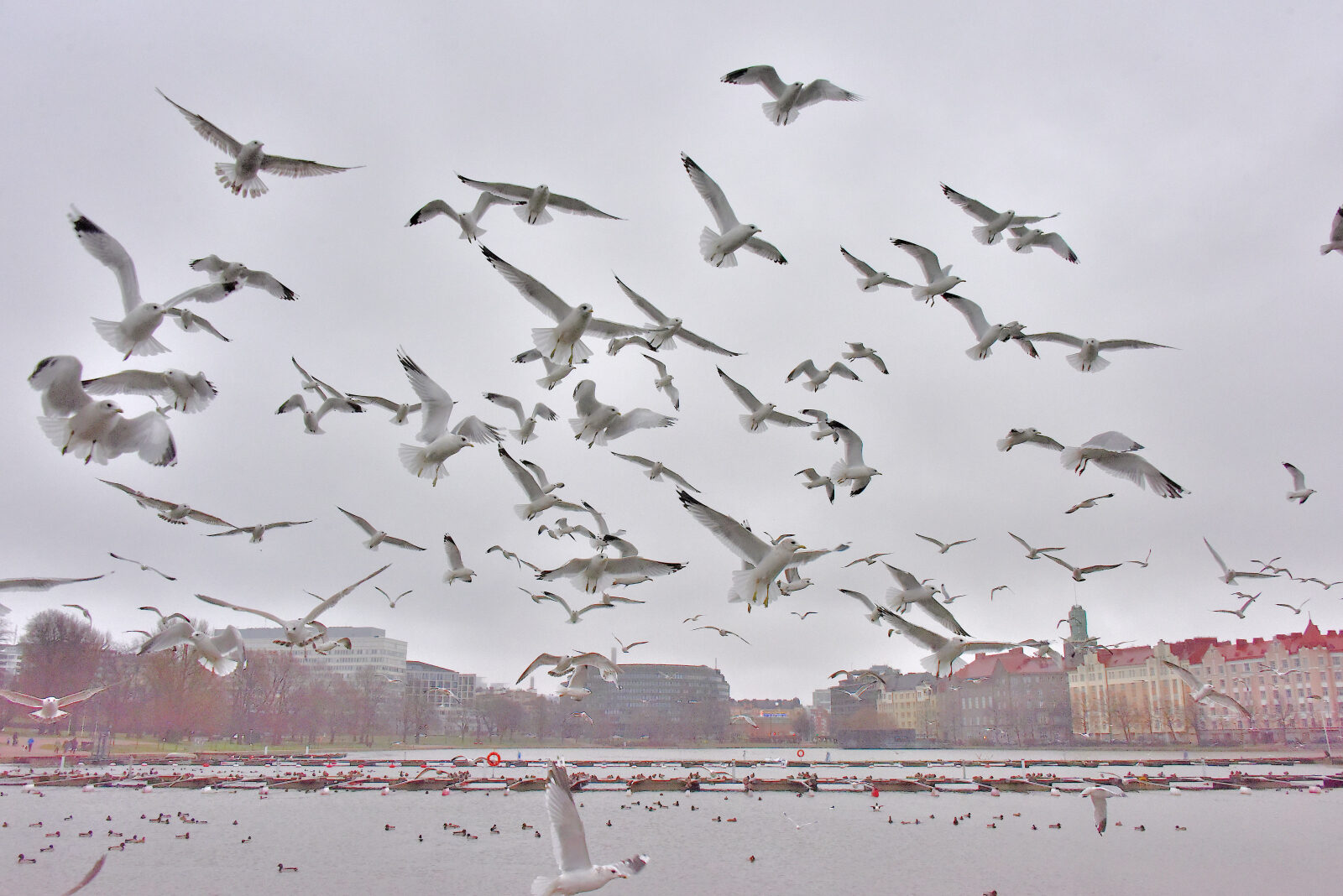 Valokuvaaja: Reijo Juurinen