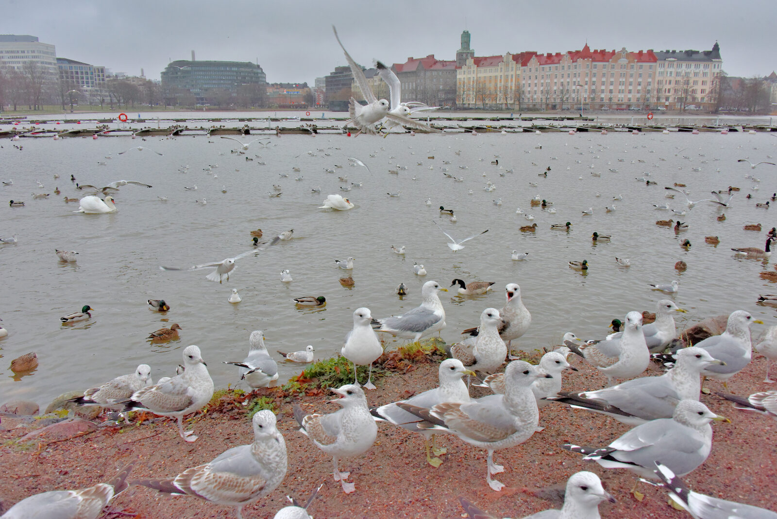 Valokuvaaja: Reijo Juurinen