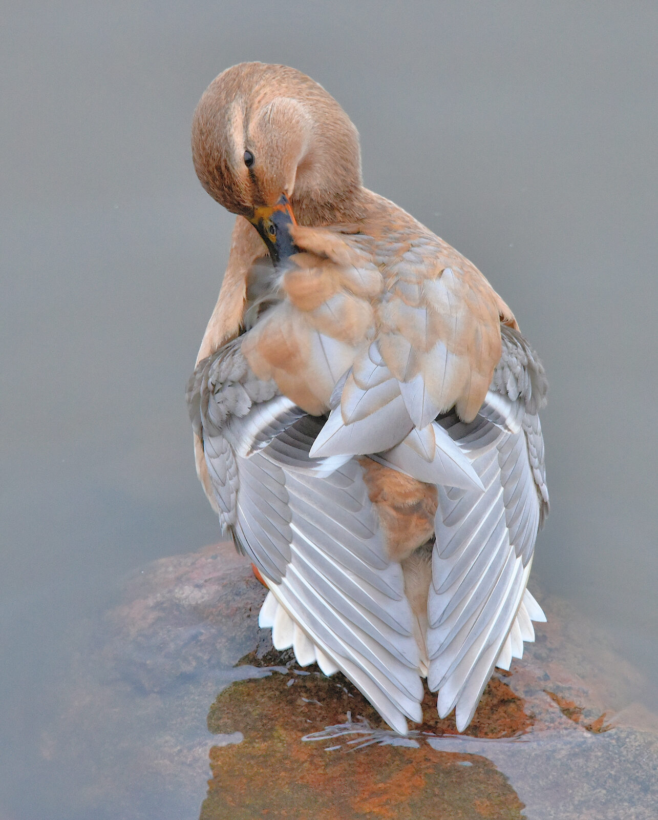 Valokuvaaja: Reijo Juurinen