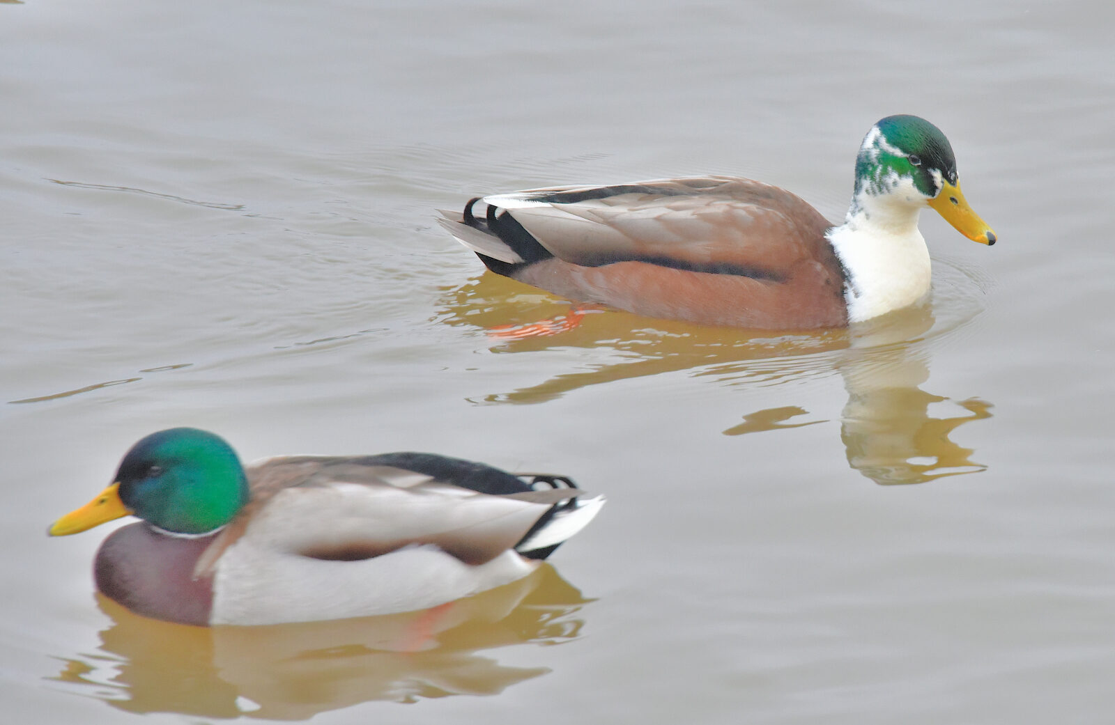 Valokuvaaja: Reijo Juurinen