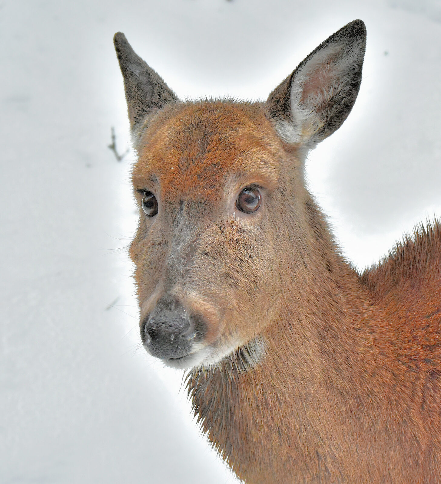 Valokuvaaja: Reijo Juurinen
