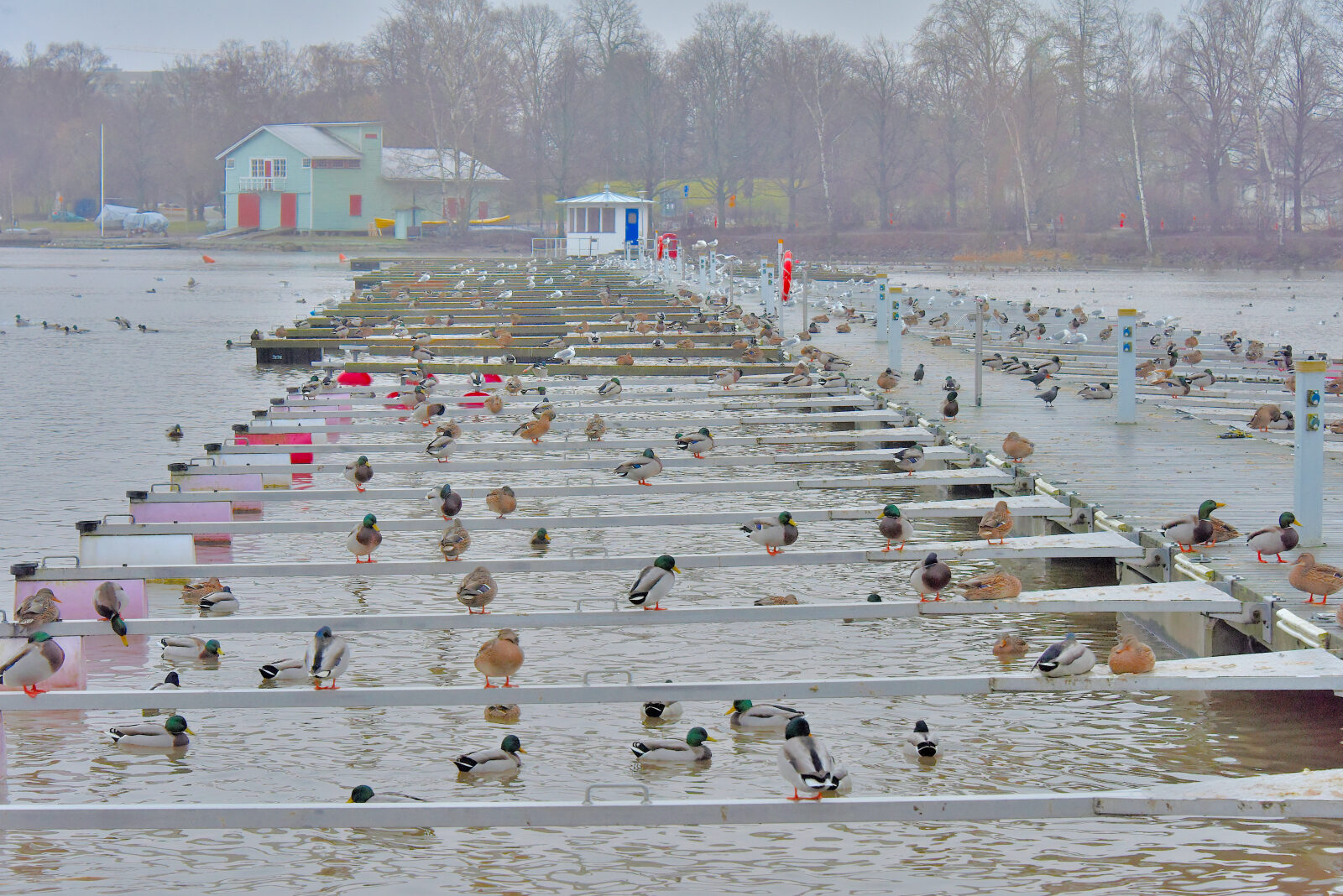 Valokuvaaja: Reijo Juurinen