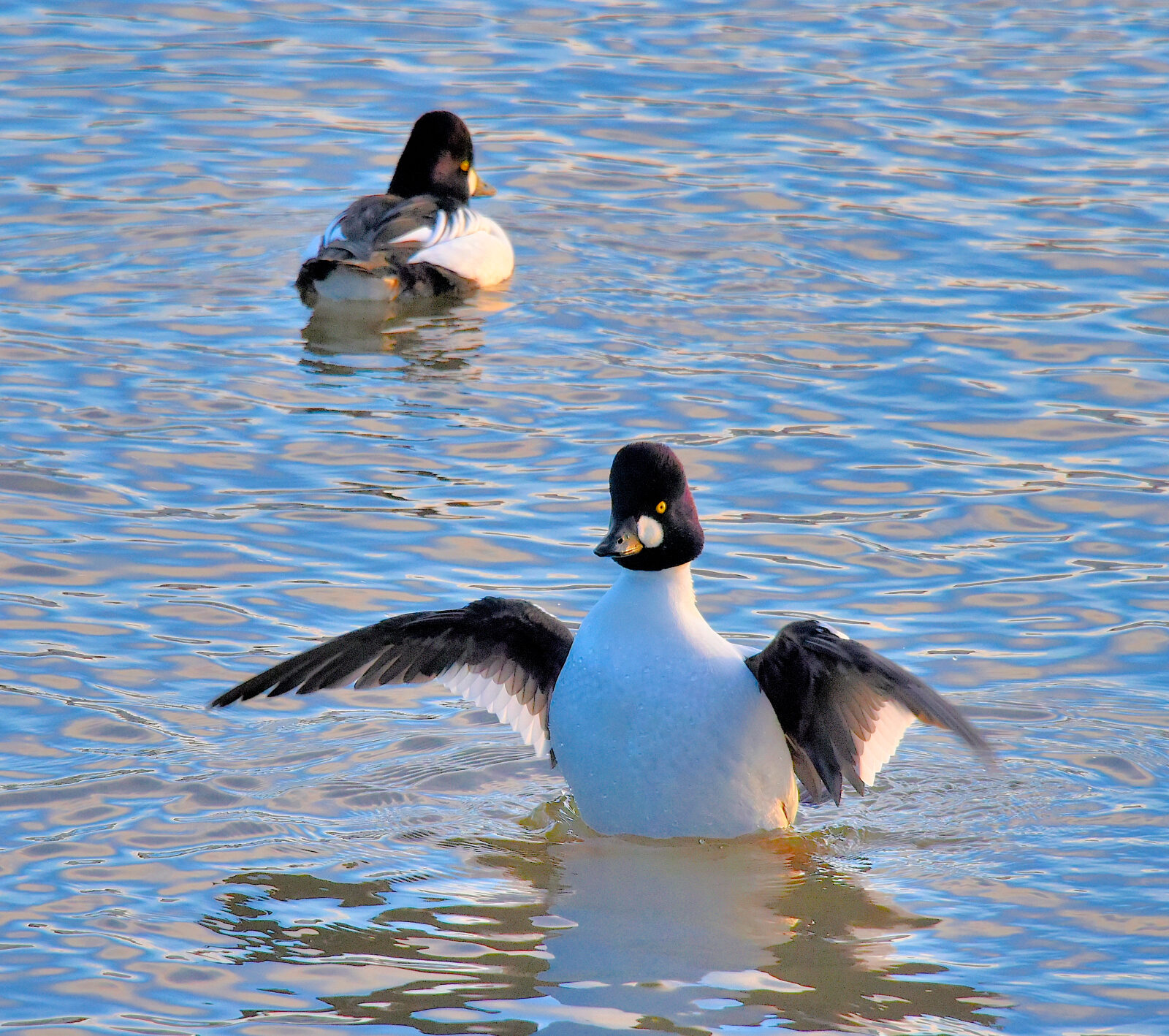 Valokuvaaja: Reijo Juurinen