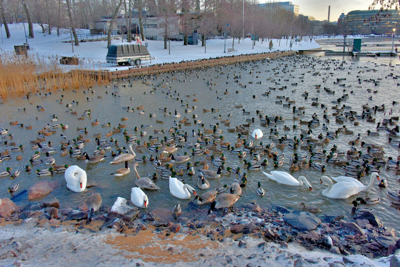 Valokuvaaja: Reijo Juurinen Valokuvaaja: Reijo Juurinen