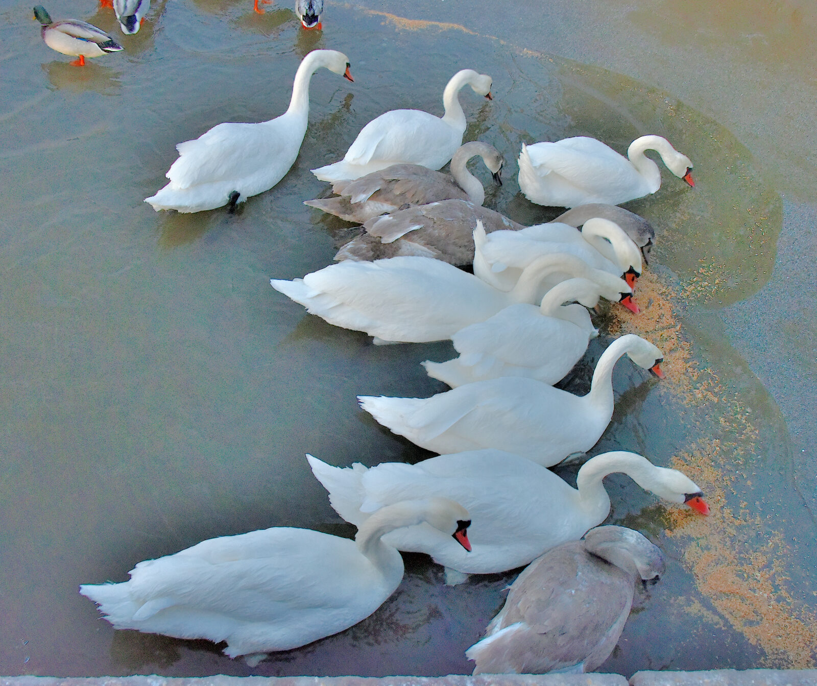 Valokuvaaja: Reijo Juurinen