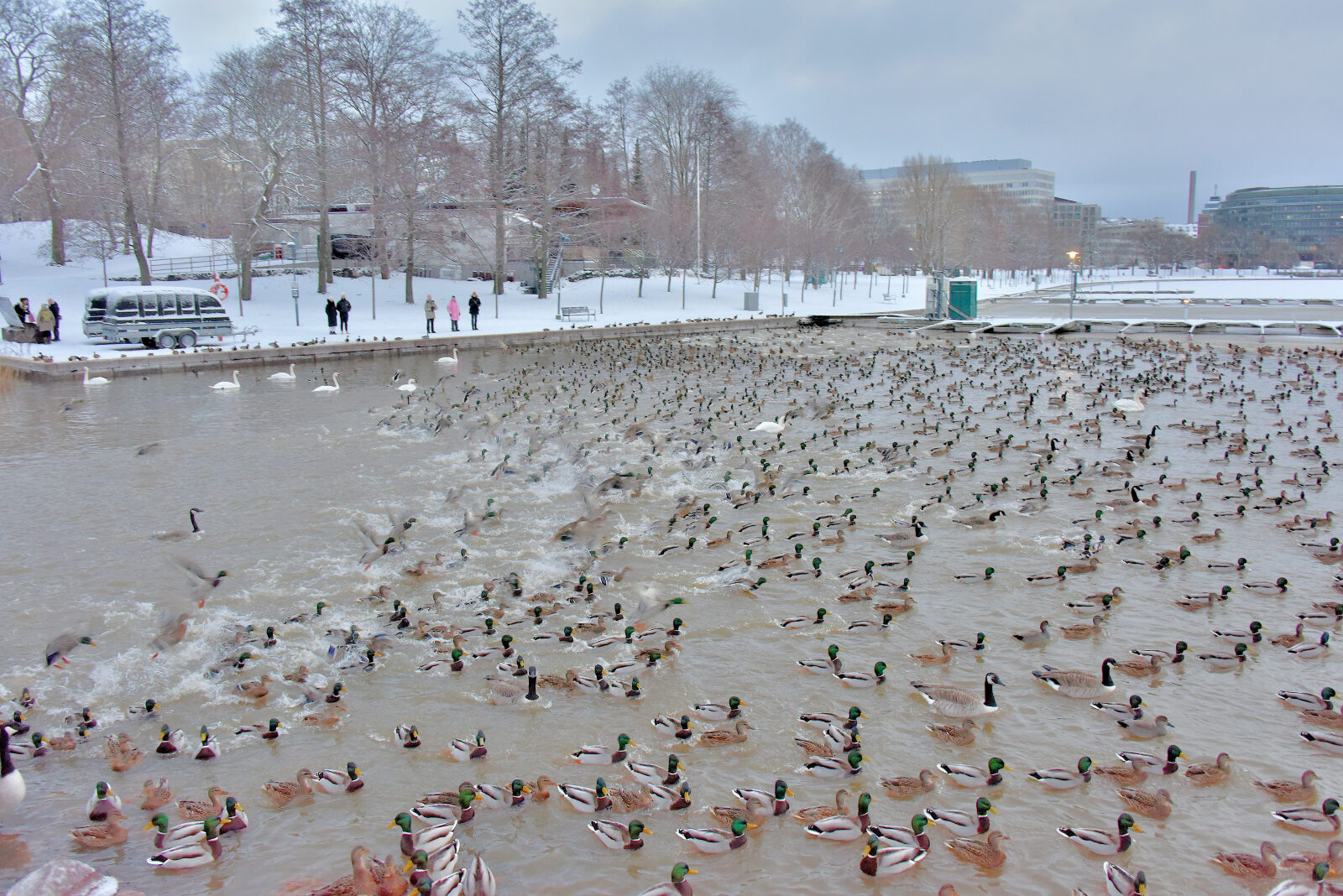 Valokuvaaja: Reijo Juurinen