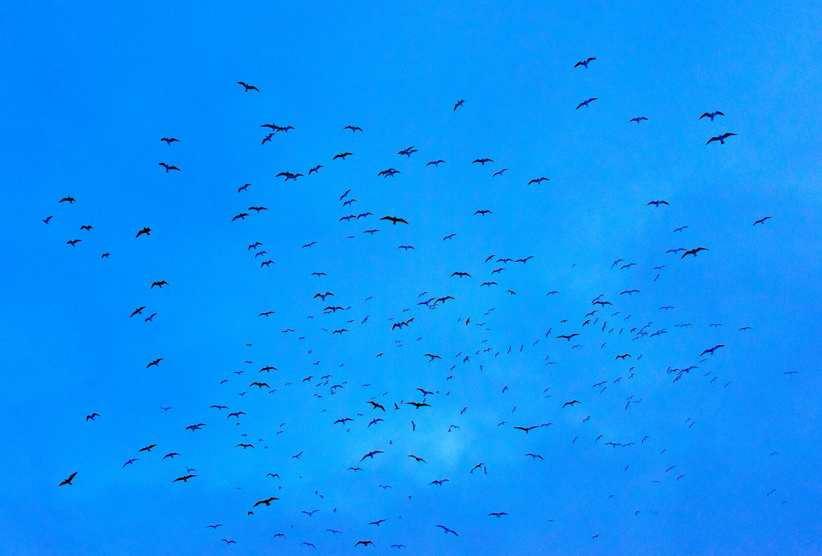 Valokuvaaja: Reijo Juurinen Valokuvaaja: Reijo Juurinen