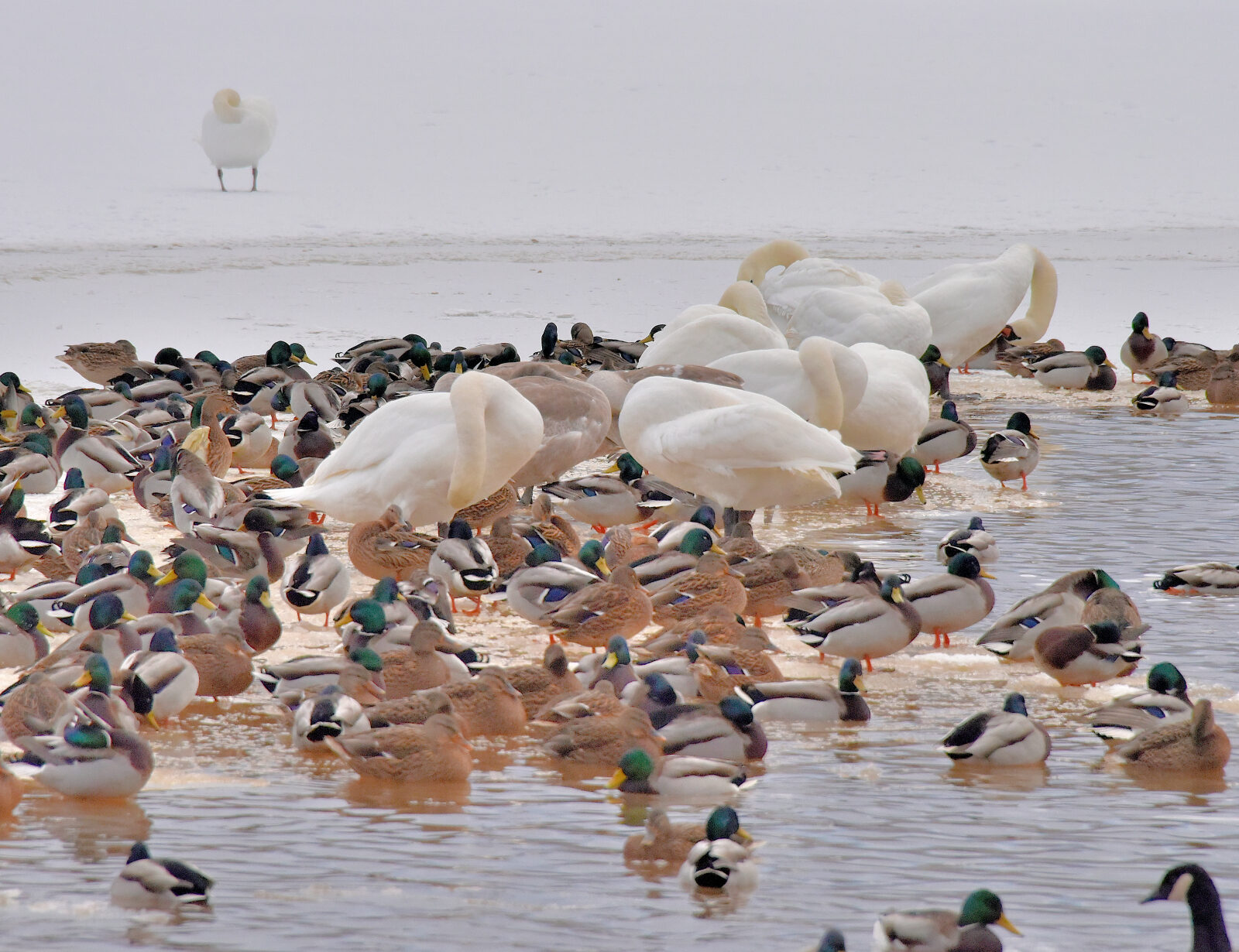 Valokuvaaja: Reijo Juurinen