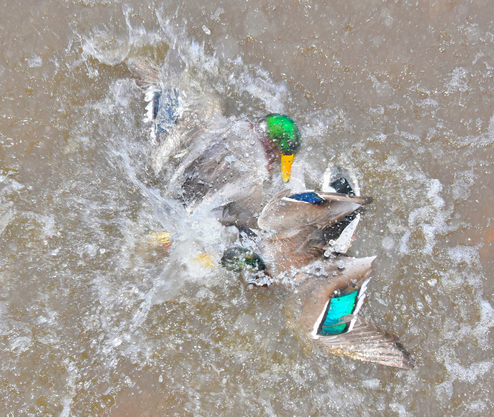 Valokuvaaja: Reijo Juurinen