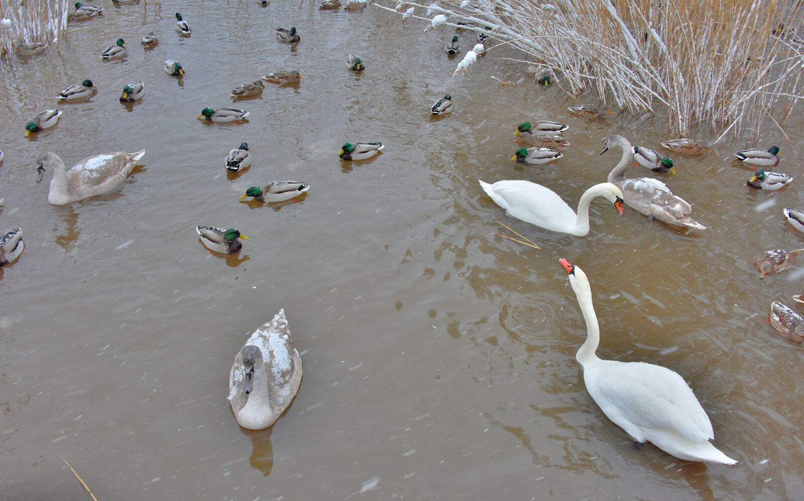 Valokuvaaja: Reijo Juurinen