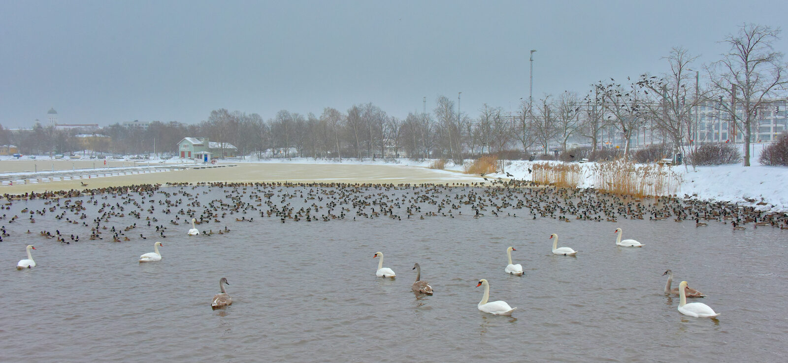 Valokuvaaja: Reijo Juurinen