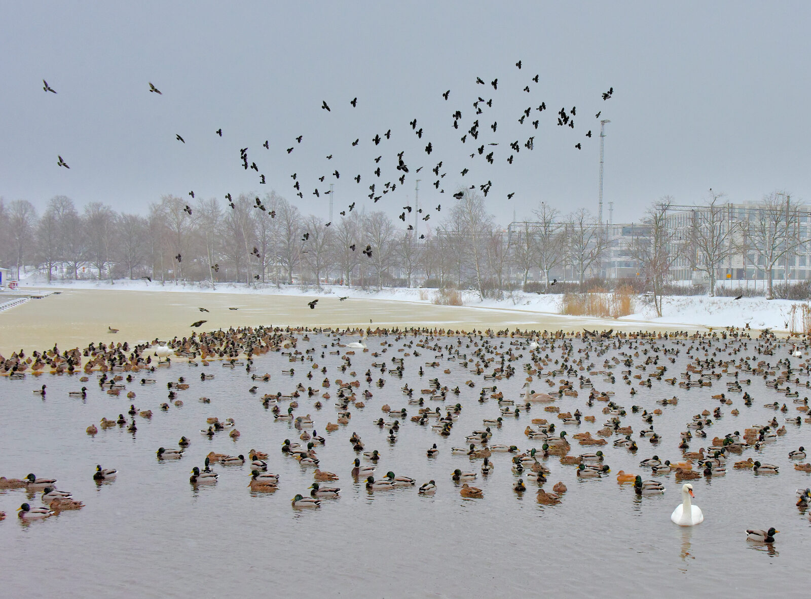 Valokuvaaja: Reijo Juurinen