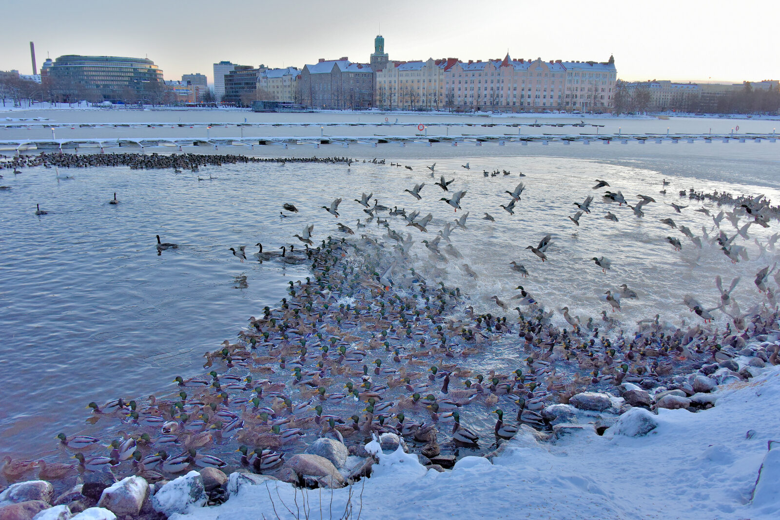 Valokuvaaja: Reijo Juurinen Valokuvaaja: Reijo Juurinen