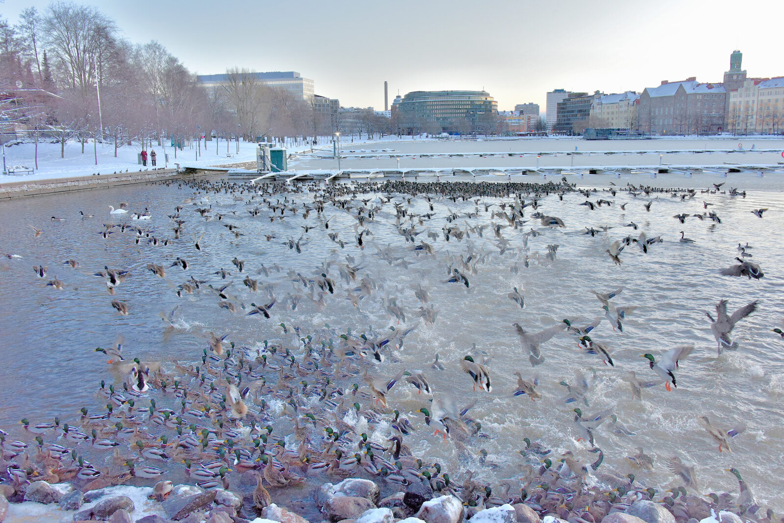 Valokuvaaja: Reijo Juurinen