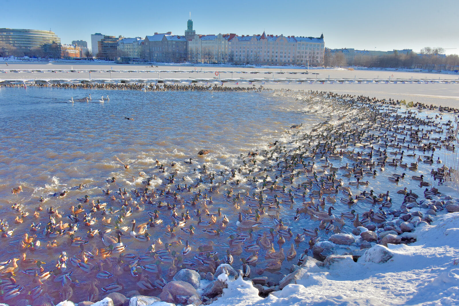 Valokuvaaja: Reijo Juurinen