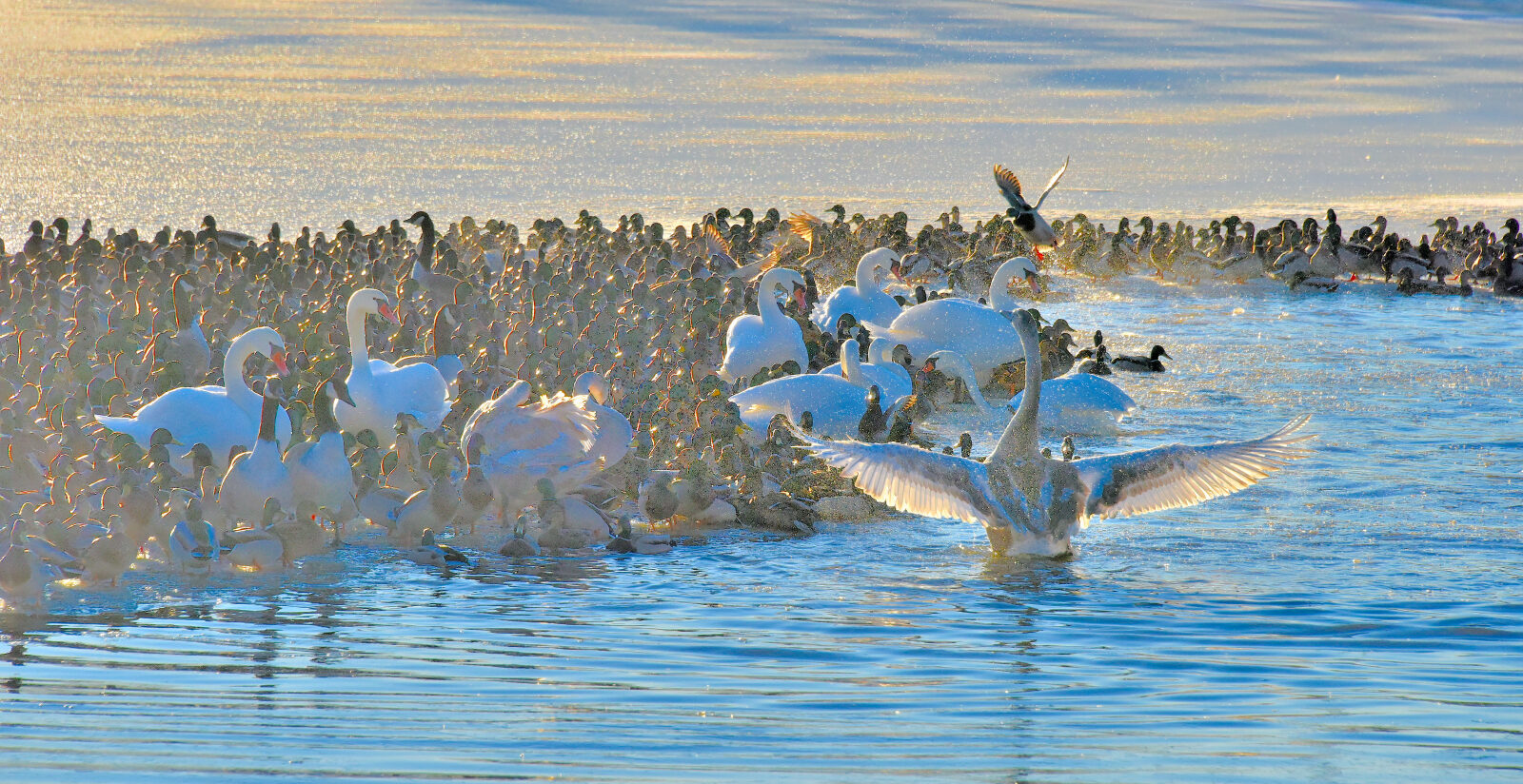 Valokuvaaja: Reijo Juurinen