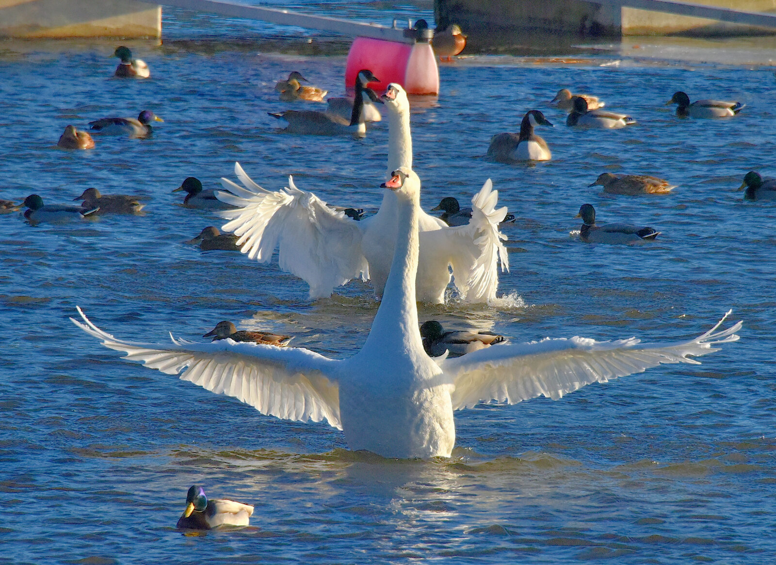 Valokuvaaja: Reijo Juurinen