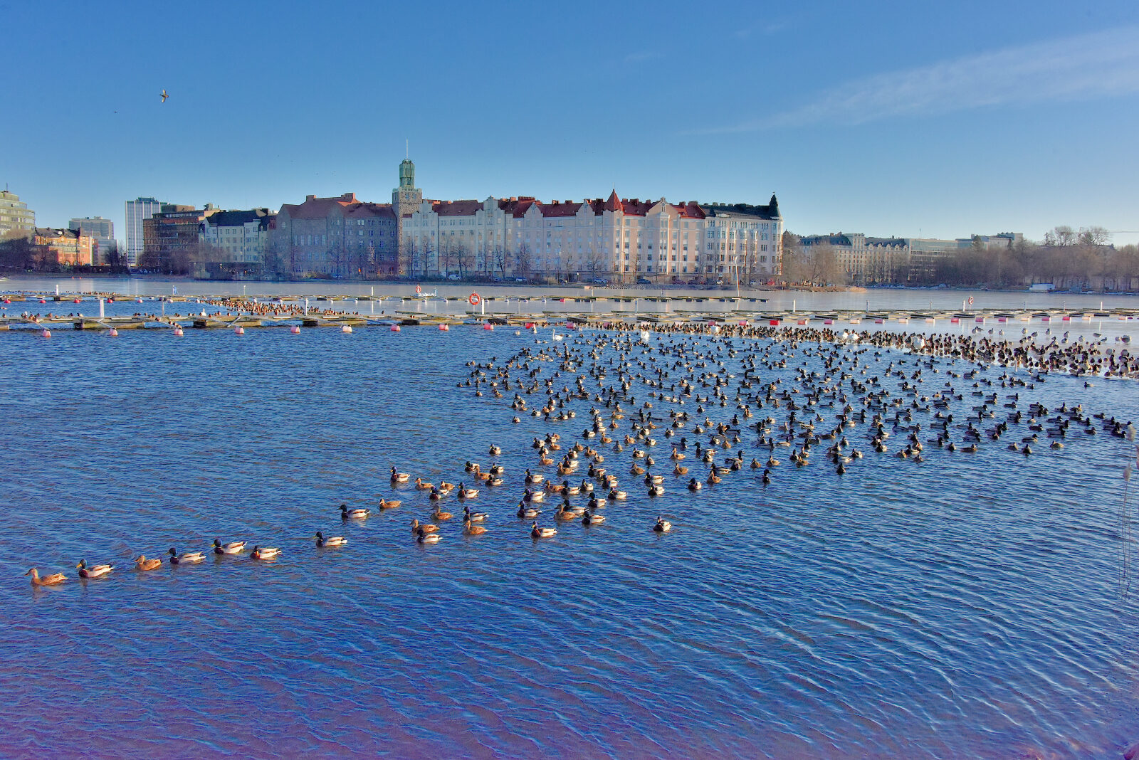 Valokuvaaja: Reijo Juurinen