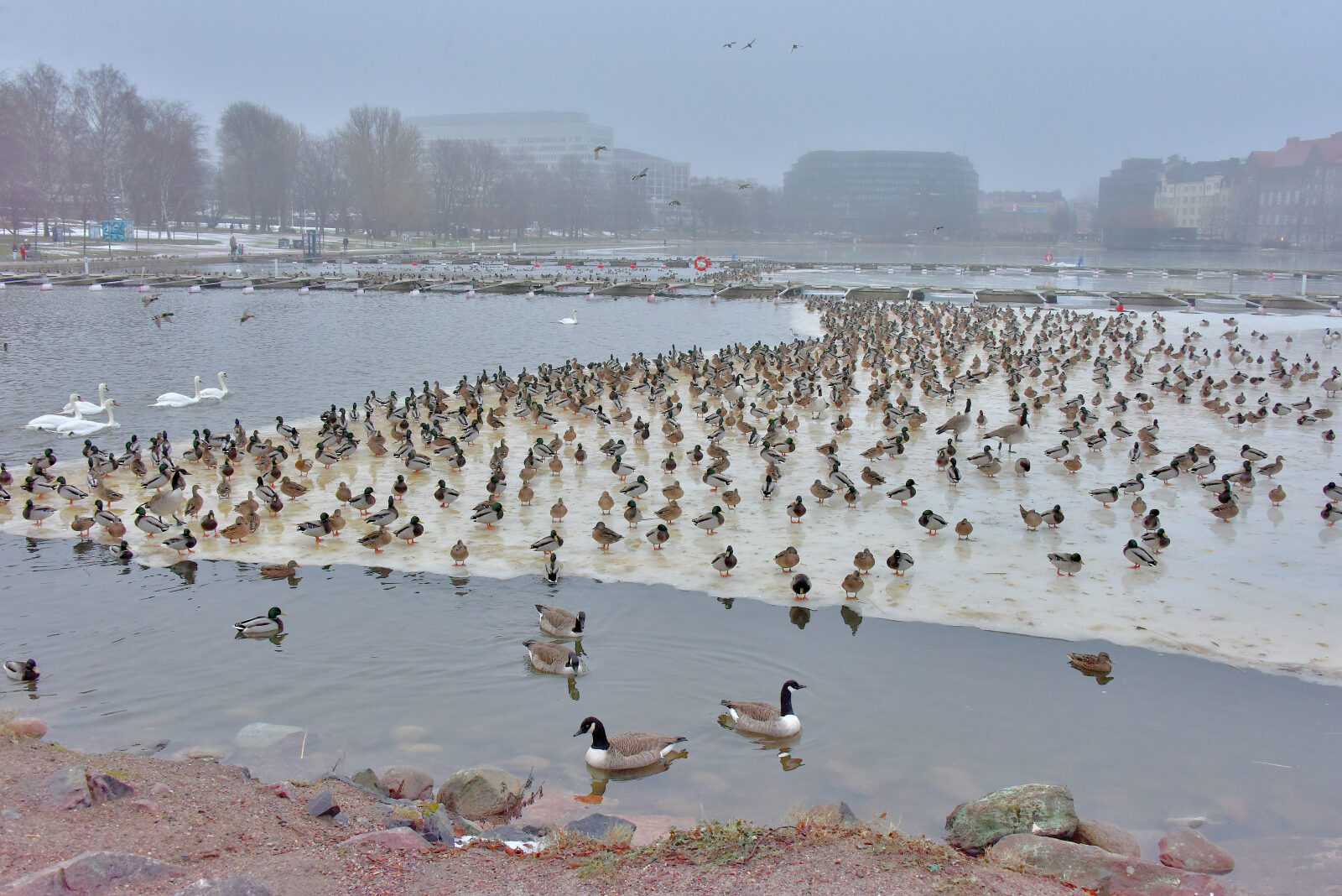 Valokuvaaja: Reijo Juurinen