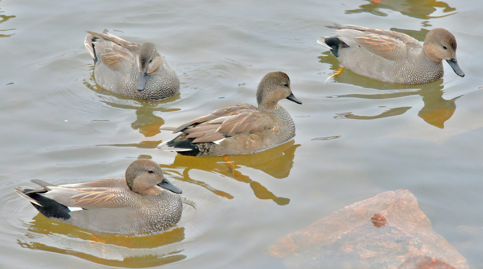 Valokuvaaja: Reijo Juurinen