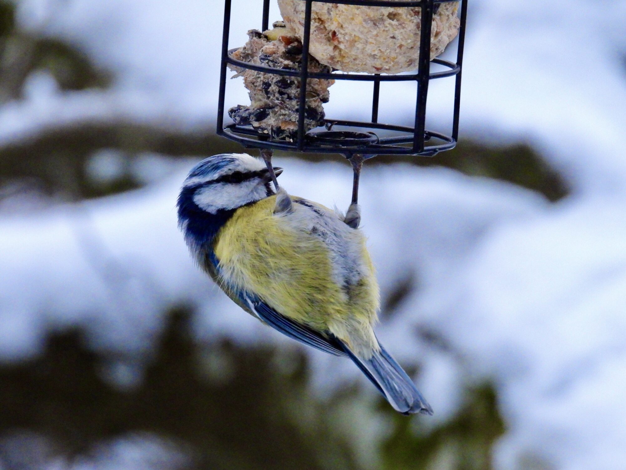 Valokuvaaja: Juhani Peltonen