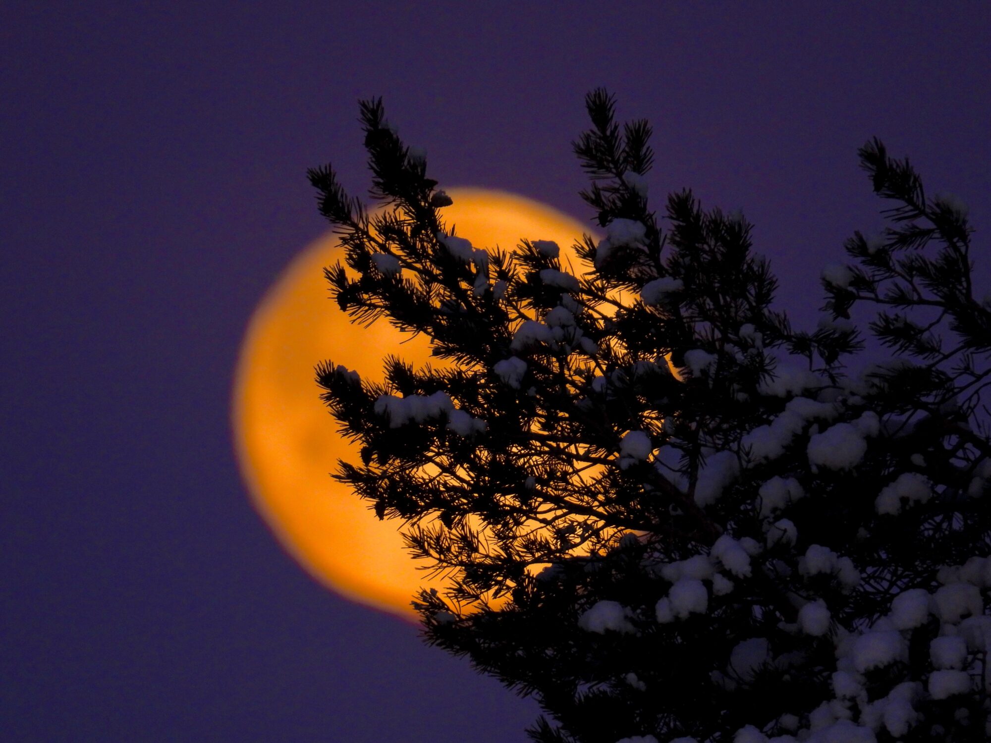 Valokuvaaja: Juhani Peltonen