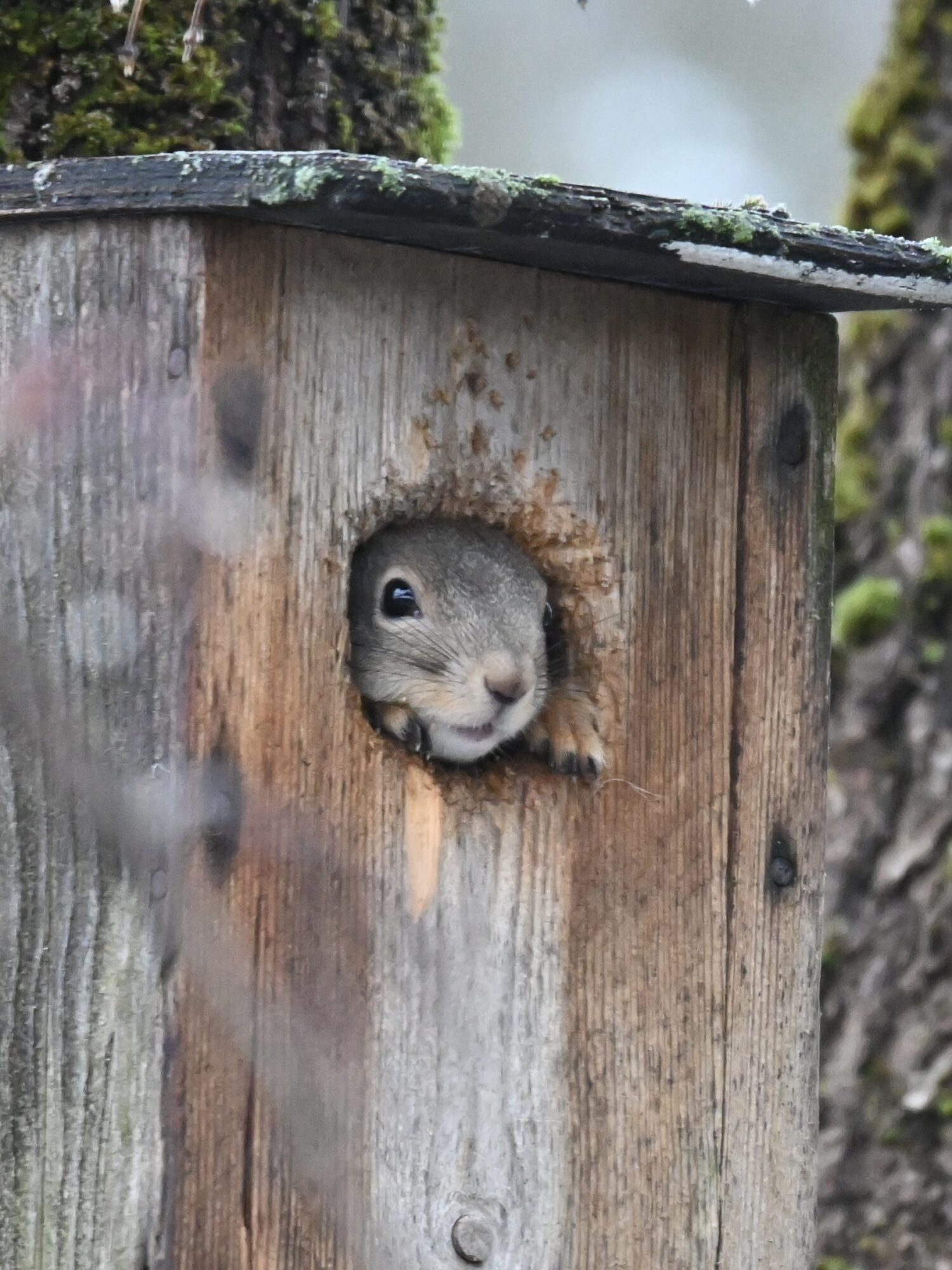 Valokuvaaja: Emilia Miettinen
